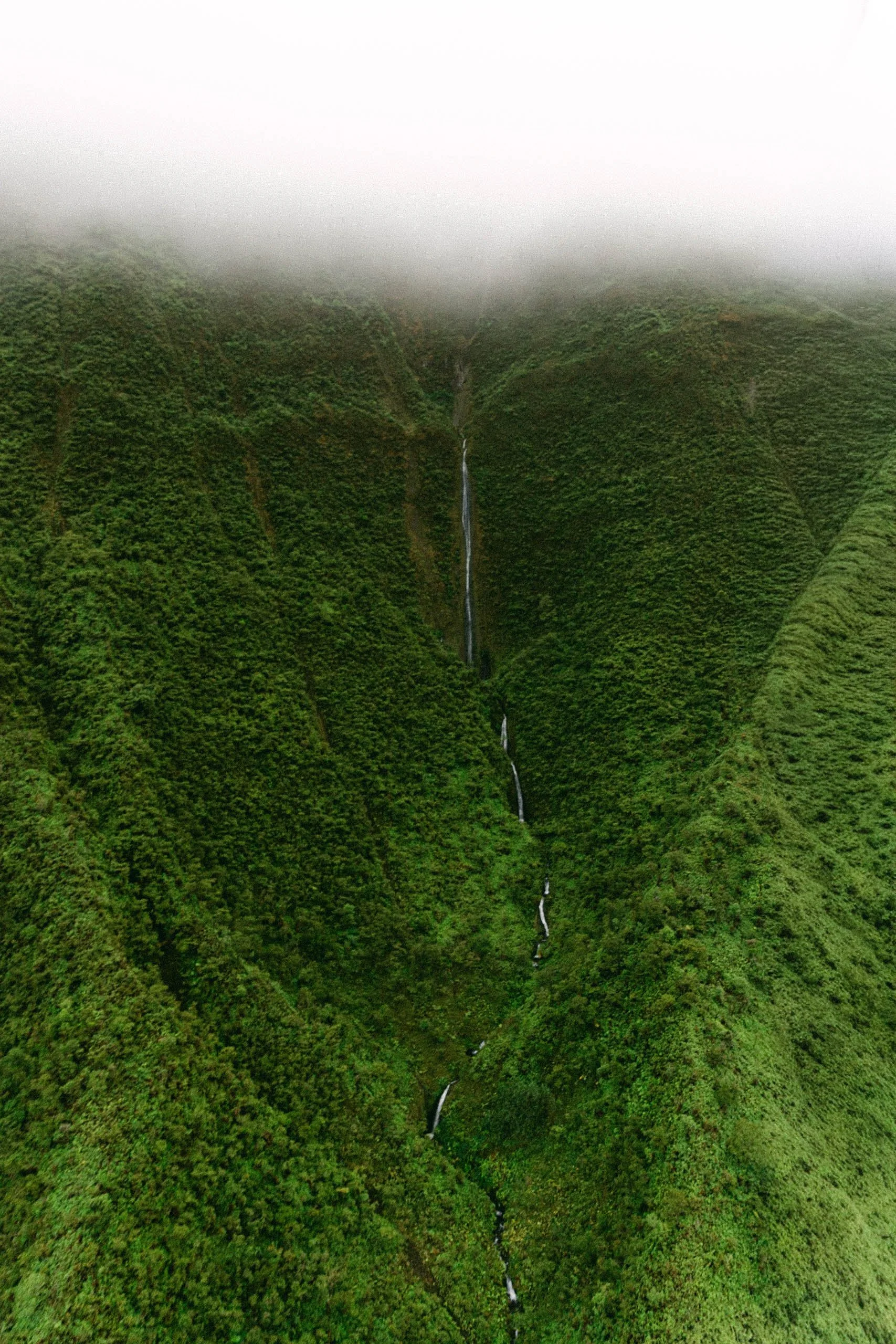 GOFLYMAUI-252.jpg