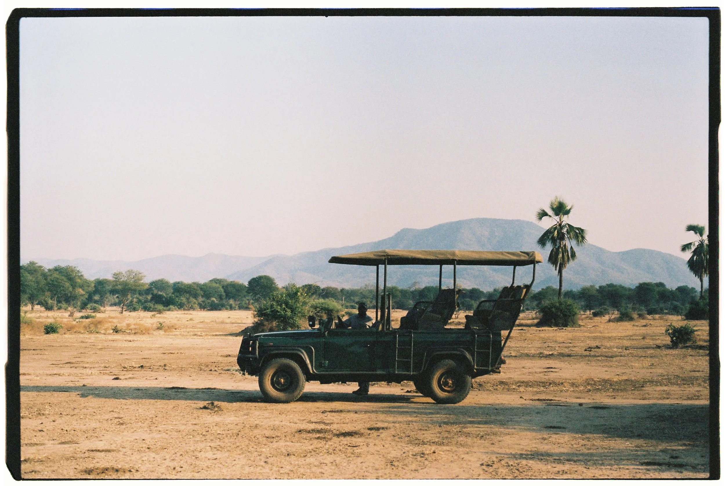 SAFARI_FILM-0010.jpg