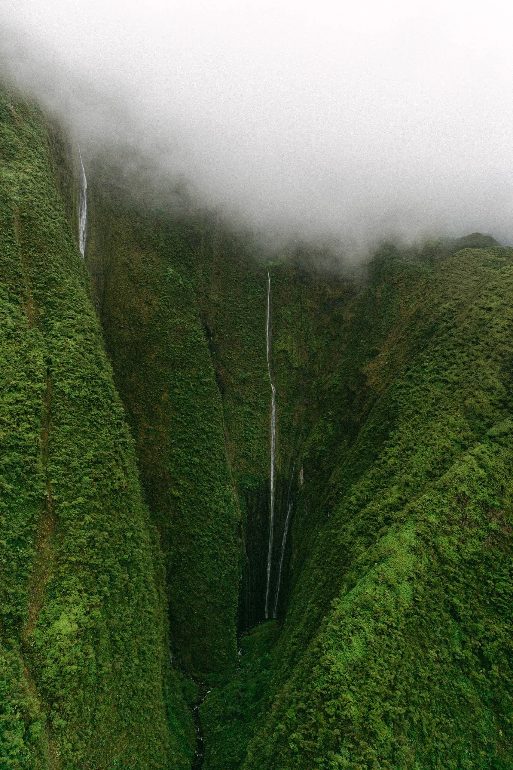 MAUI-345.jpg