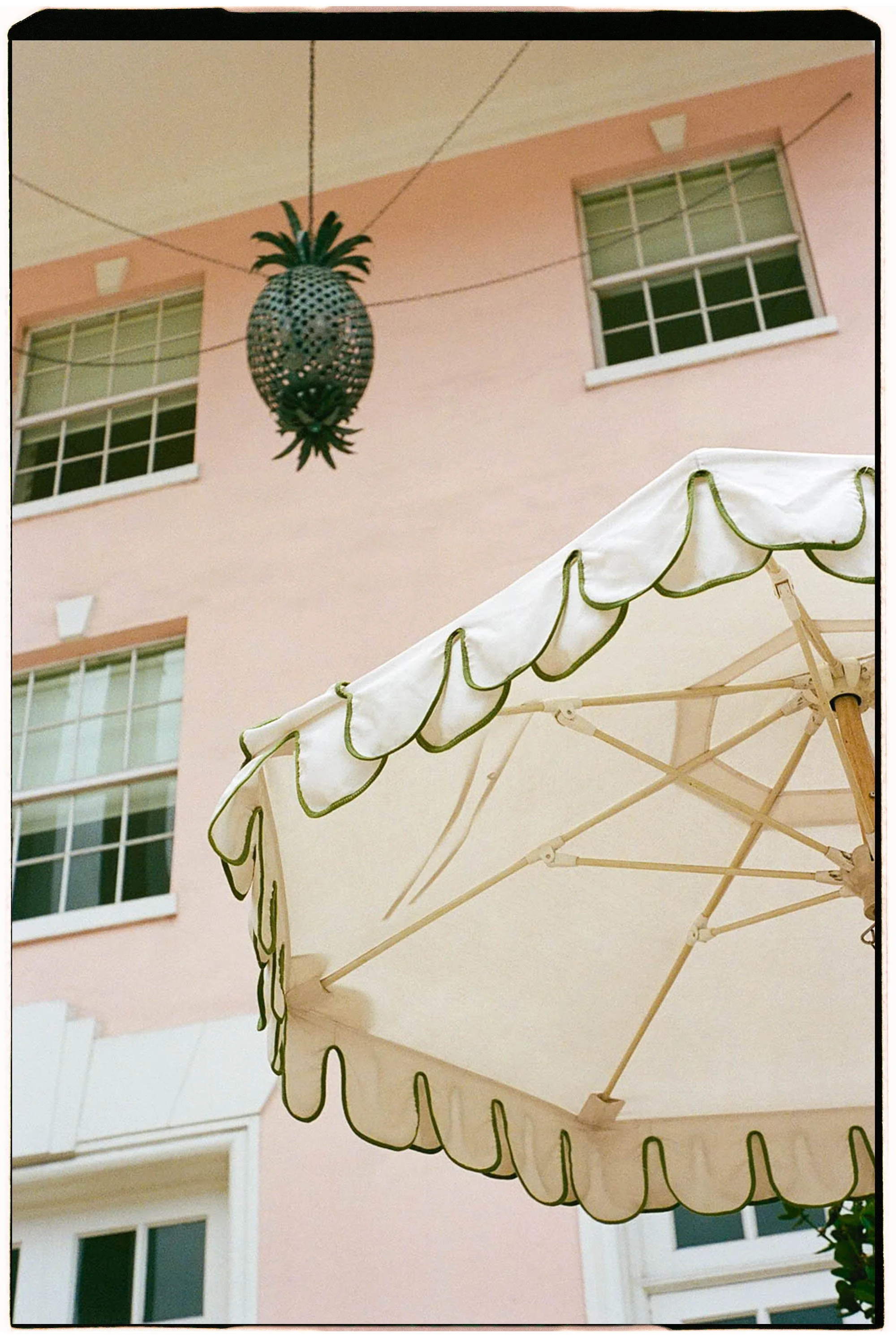 palmbeach.jpg