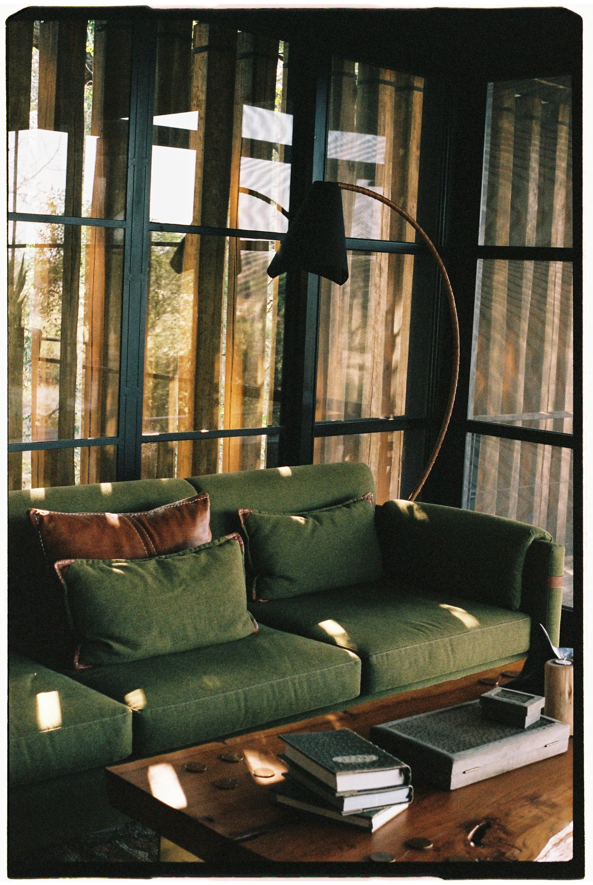 SAFARI_FILM-0022-2.jpg
