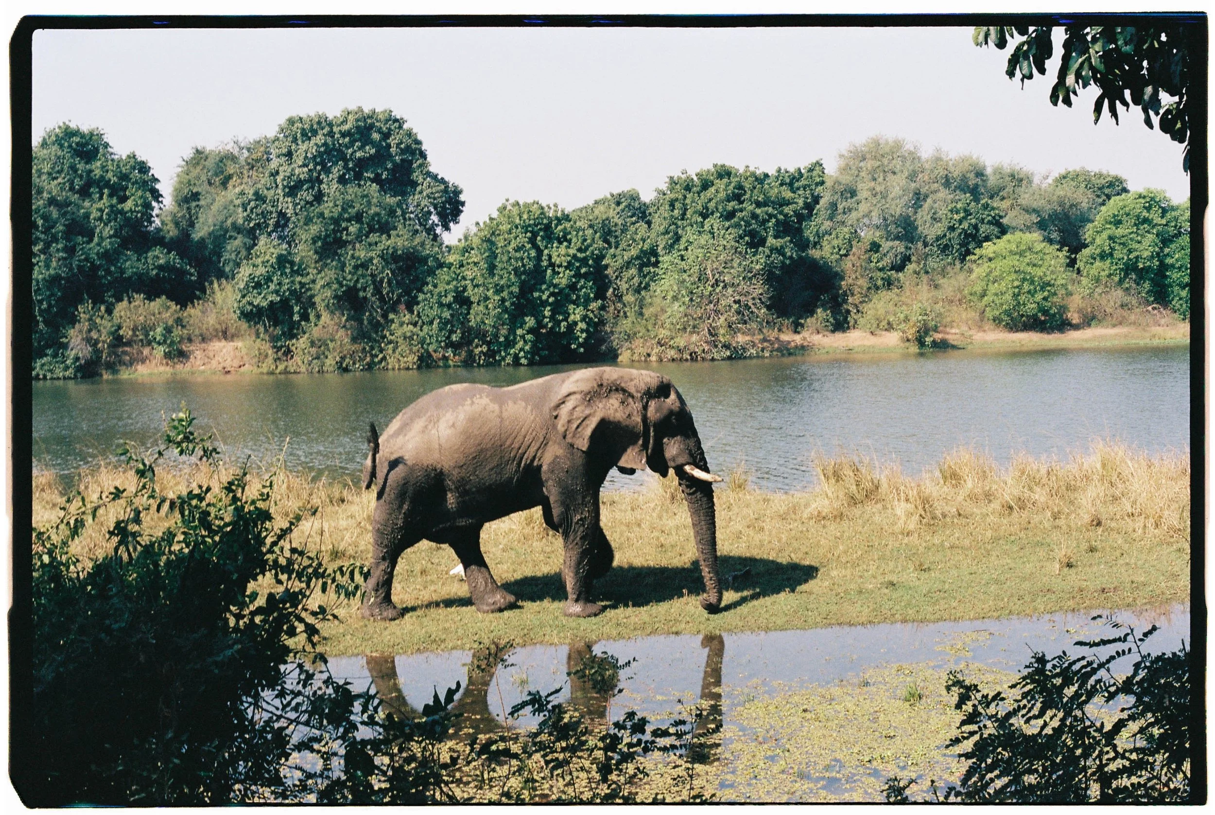 SAFARI_FILM-0036-2.jpg