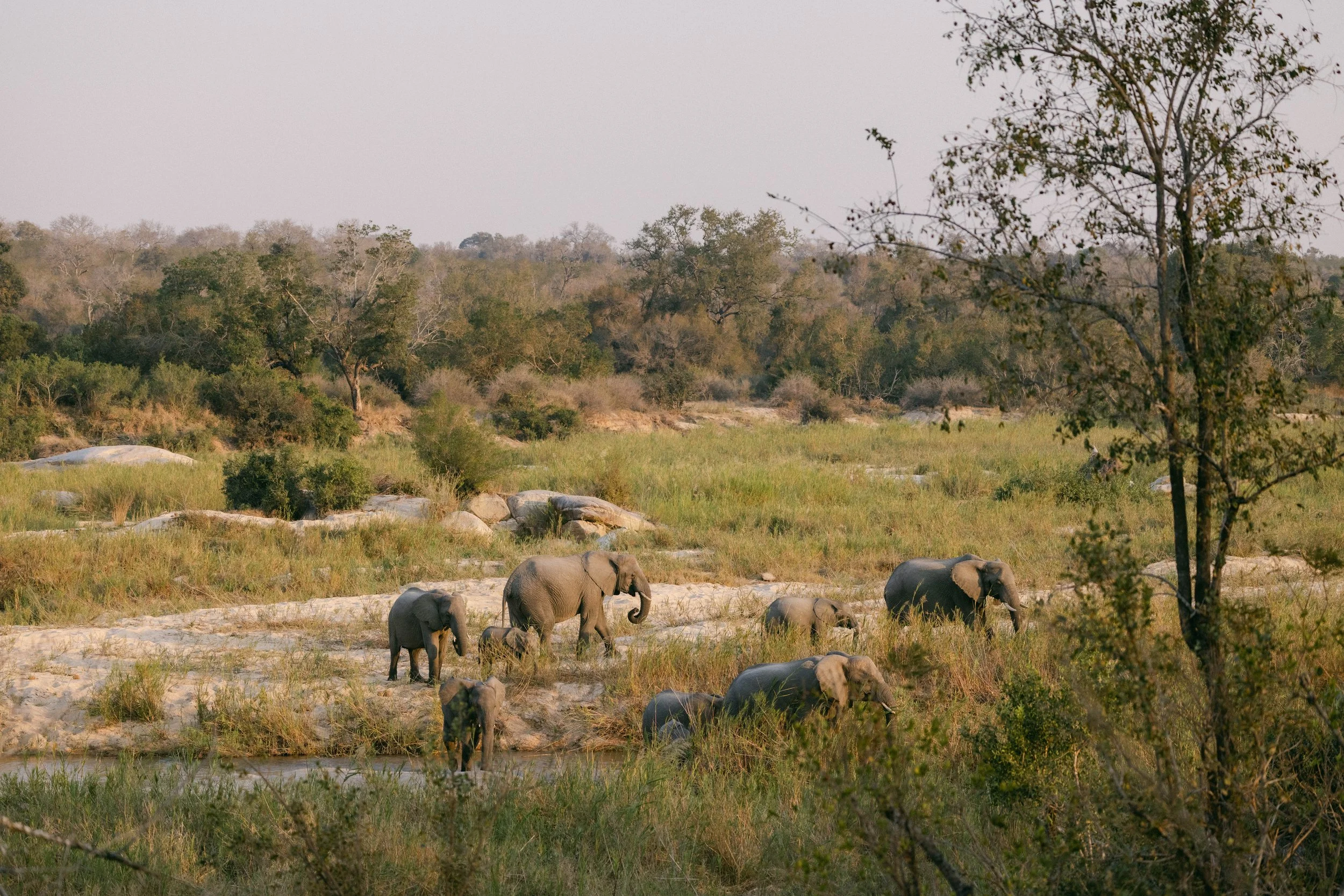 TENGILE-MALAMALA-9985.jpg
