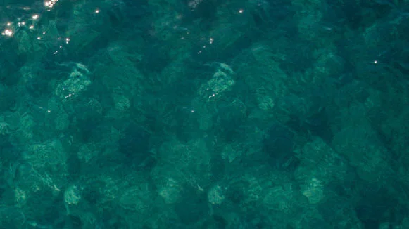 waterbutton.jpg