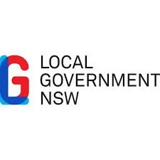 local government.jpeg