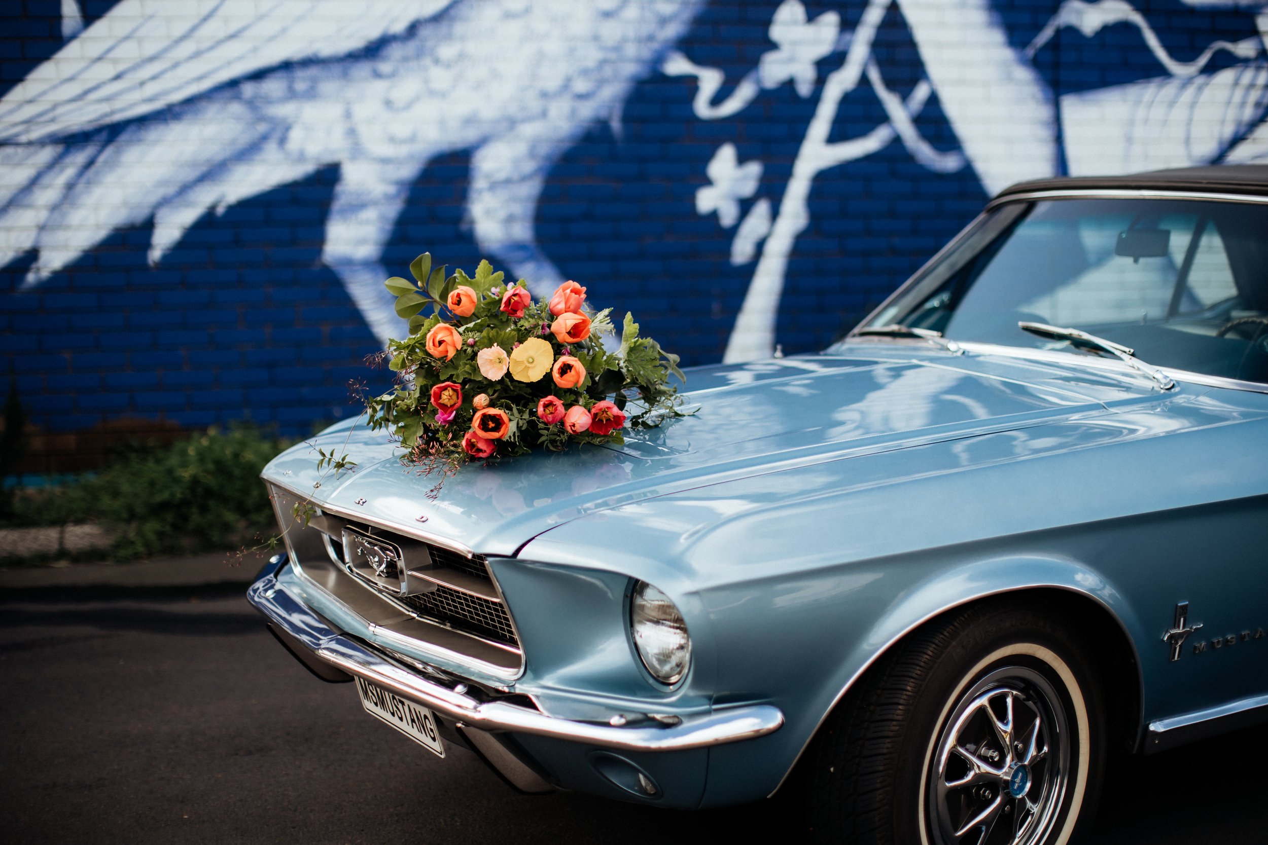 styled elopement shoot-victoria baker-mr mustang hire-classic car hire-margaret river-photography-south west.jpg