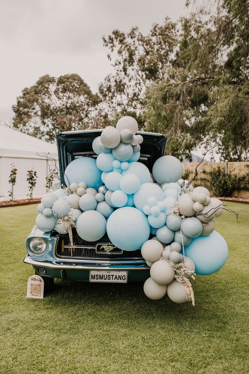 mr mustanghire-old broadwater farm-burst away-wedding expo-busselton-margaret river7.jpeg