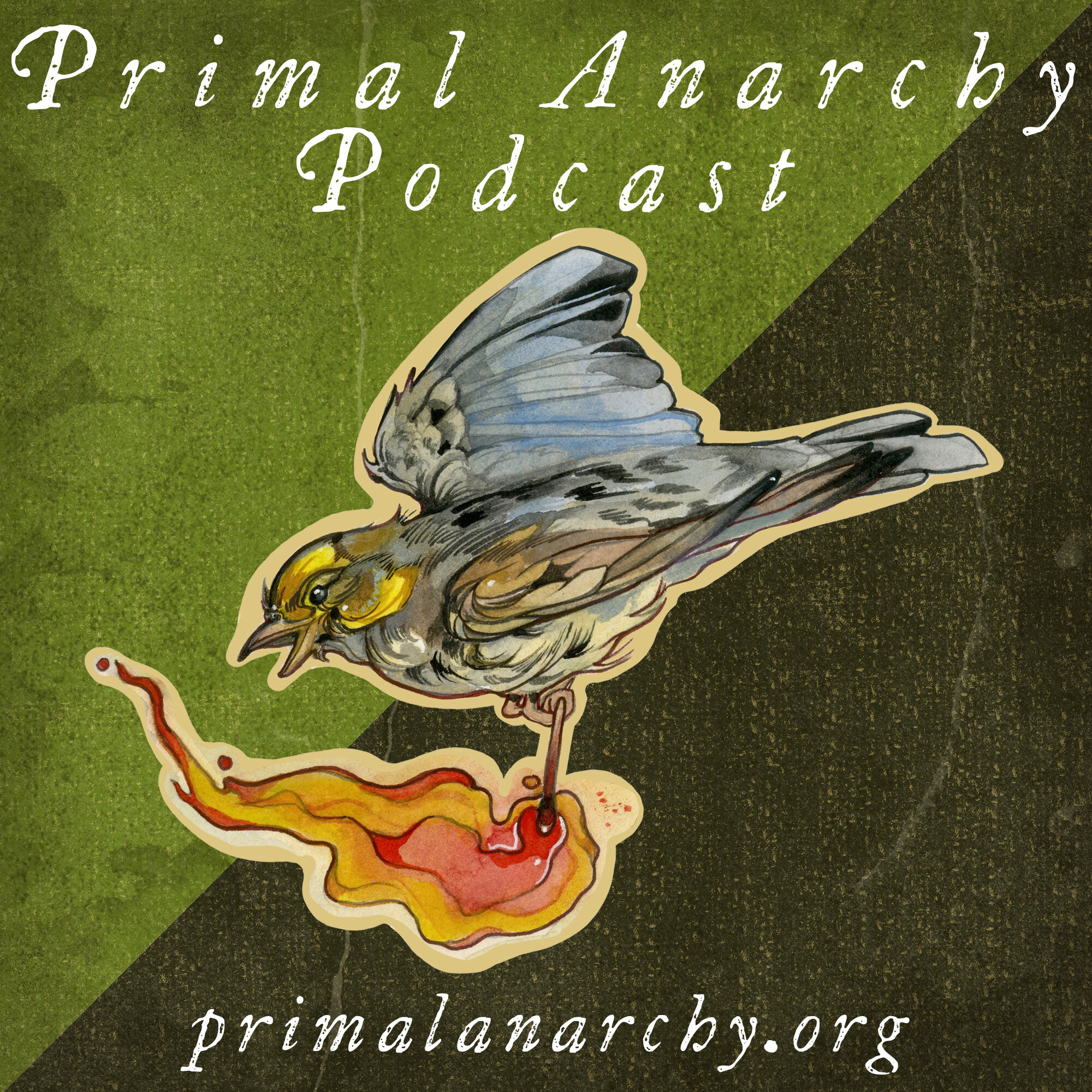 Primal Anarchy Podcast 26: Interview with Deana Dartt