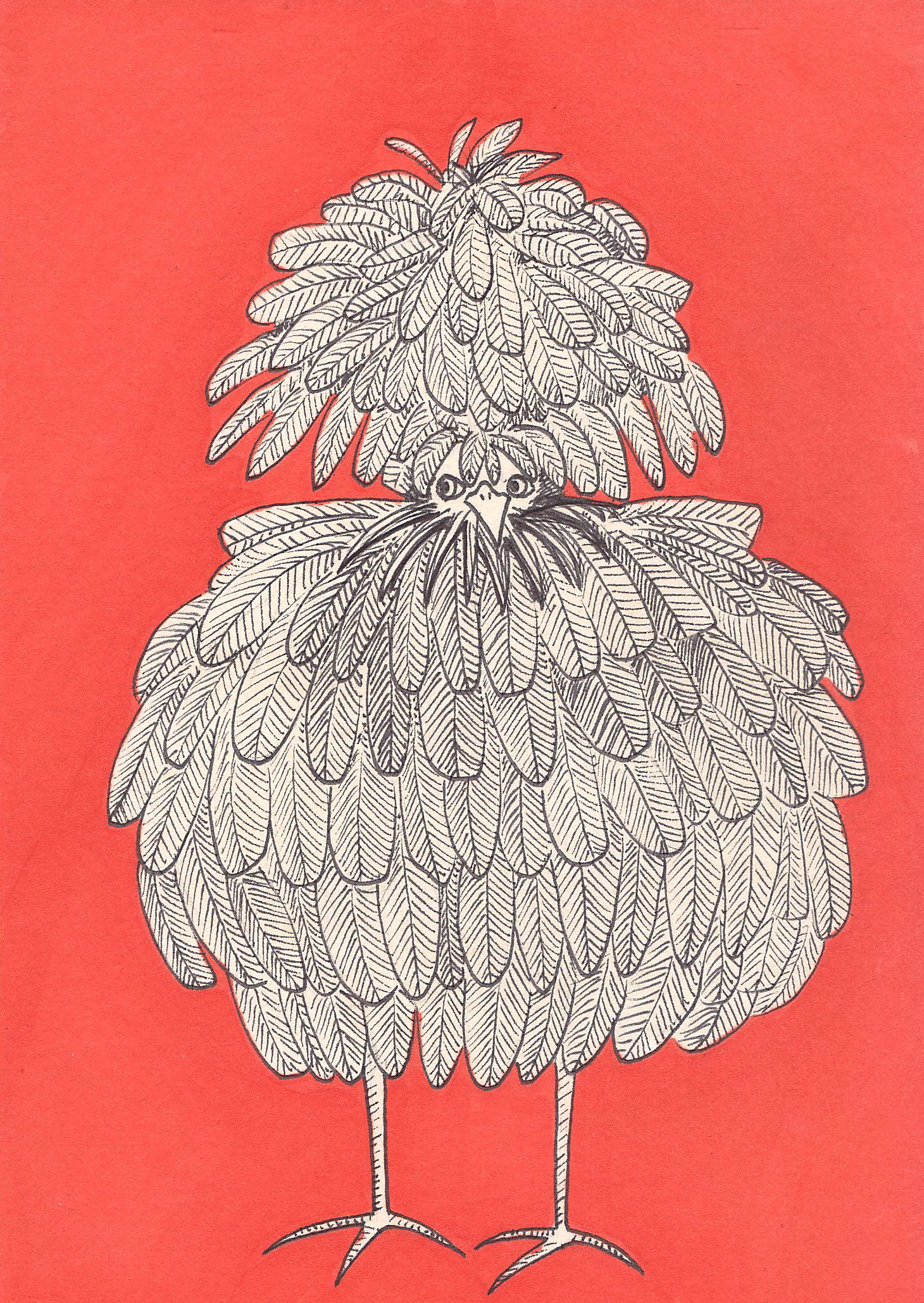 chicken1.JPG