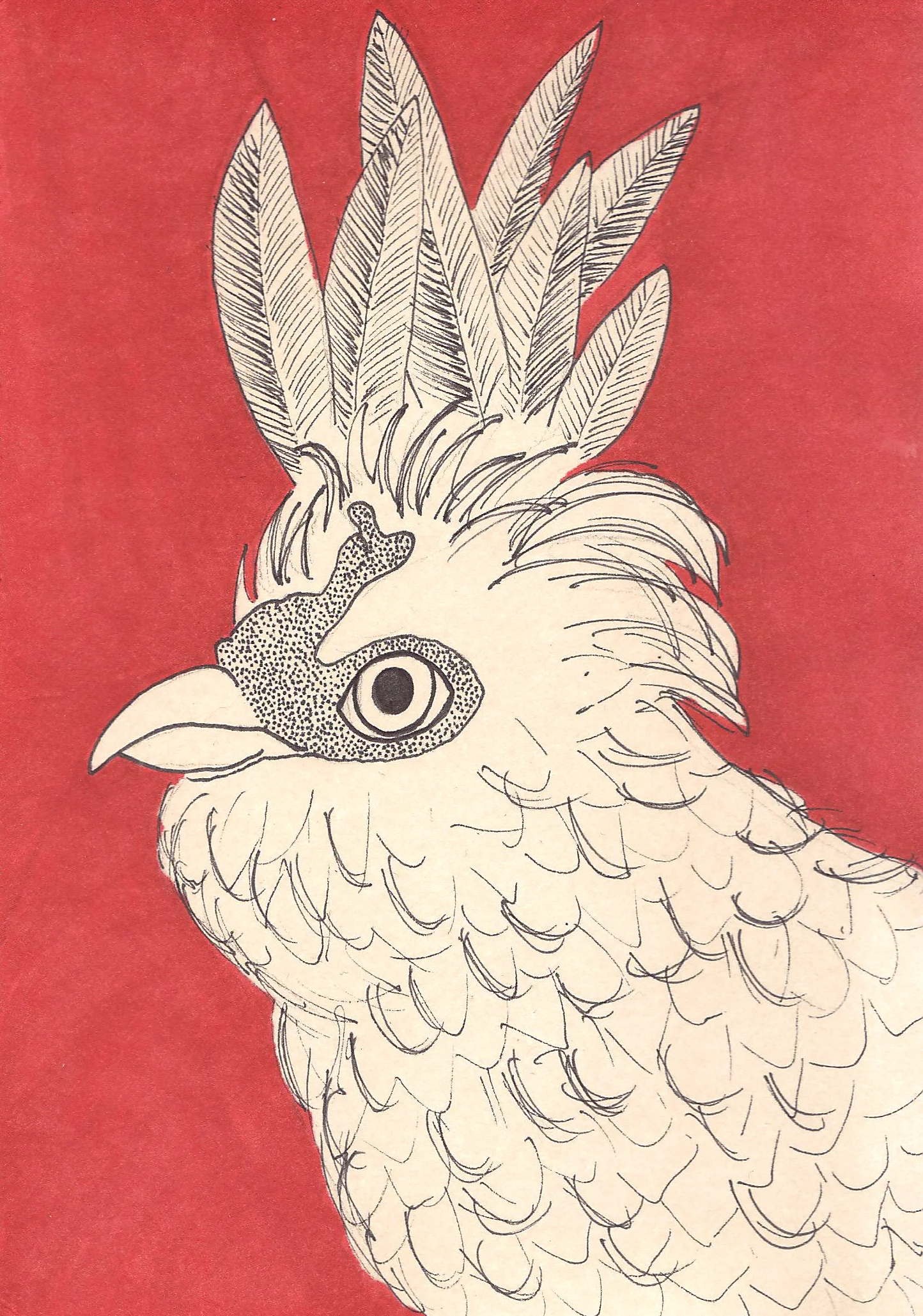 chicken3.JPG