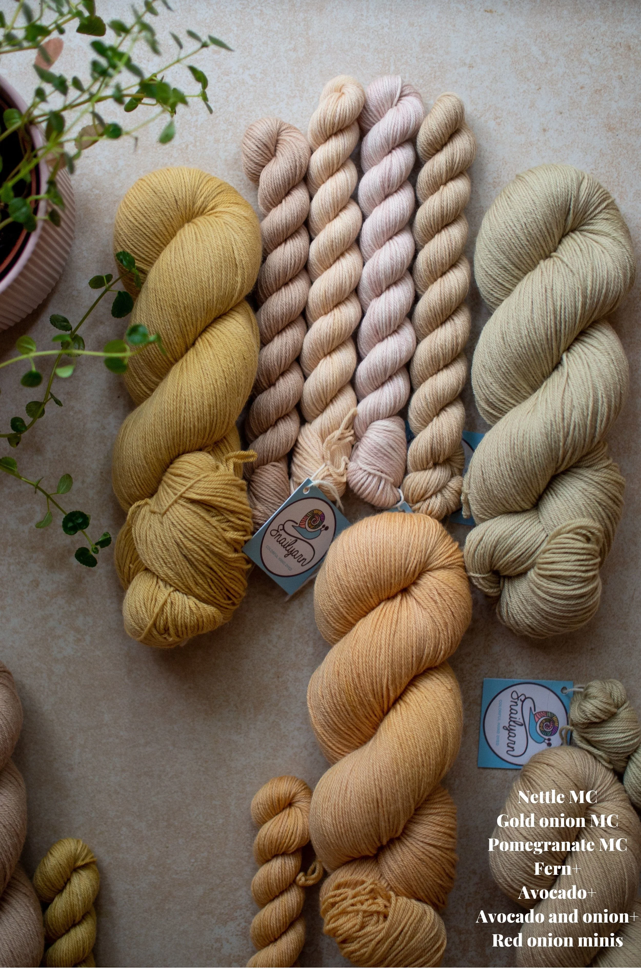 sock sets.jpg