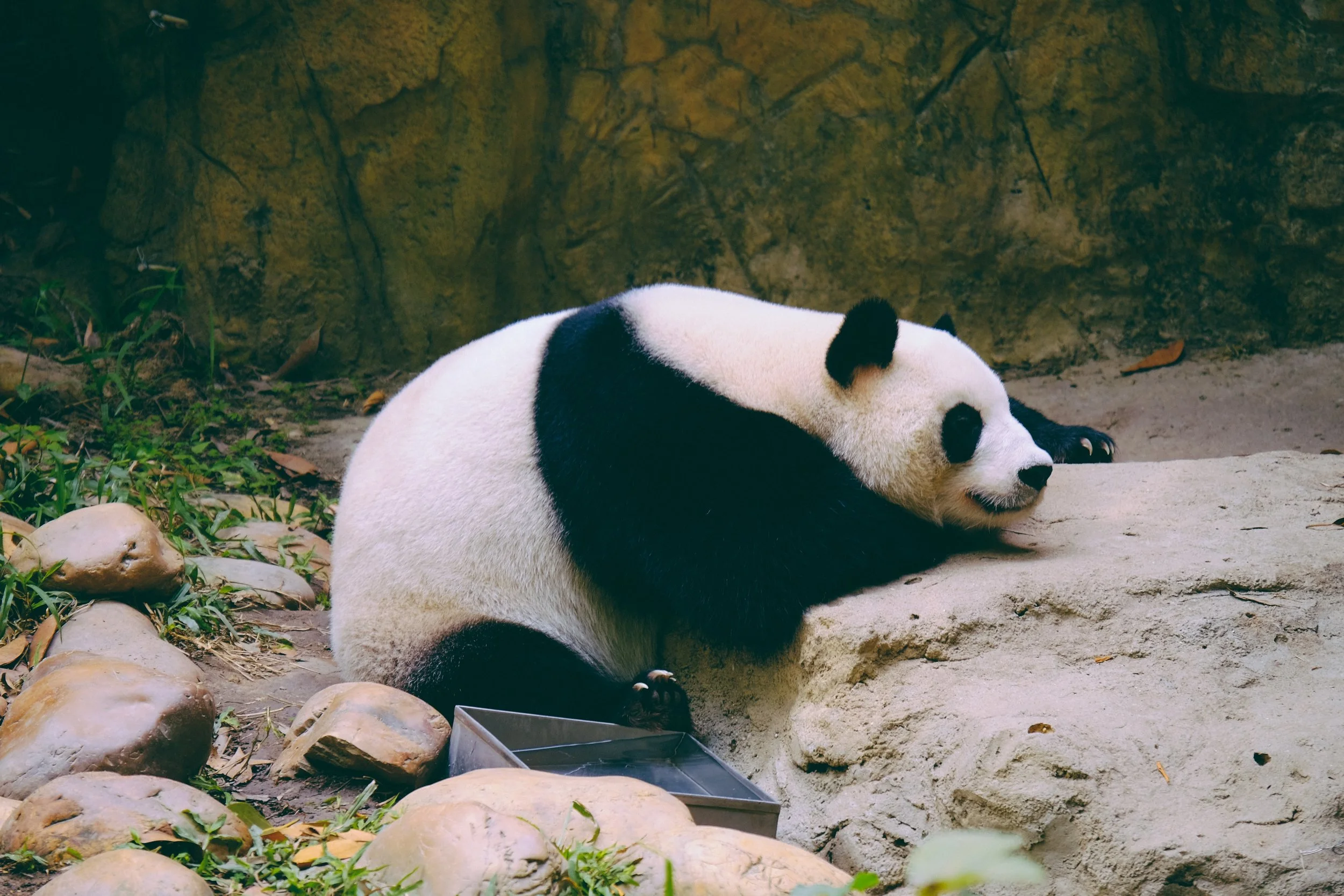 shu-xin-553520-unsplash.jpg