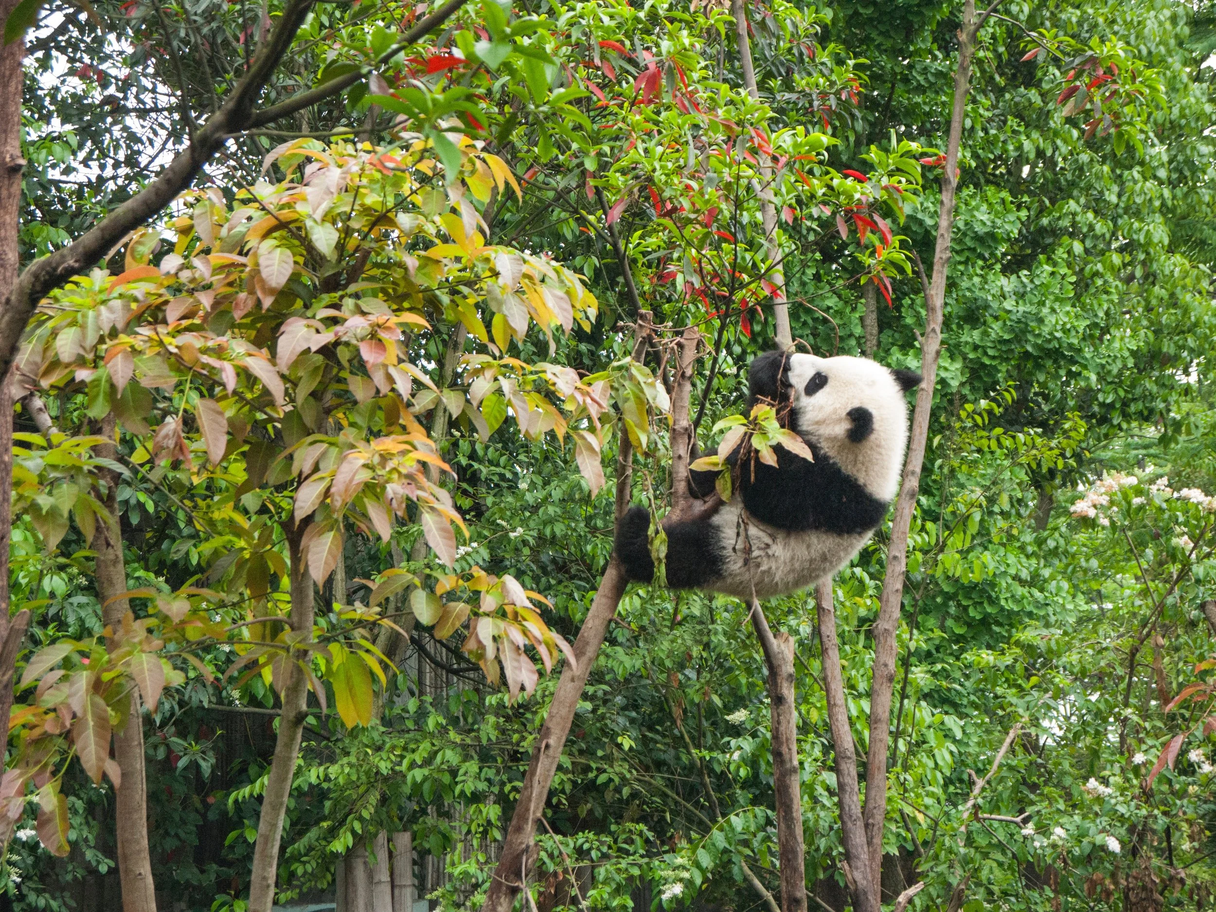 chester-ho-90635-unsplash.jpg