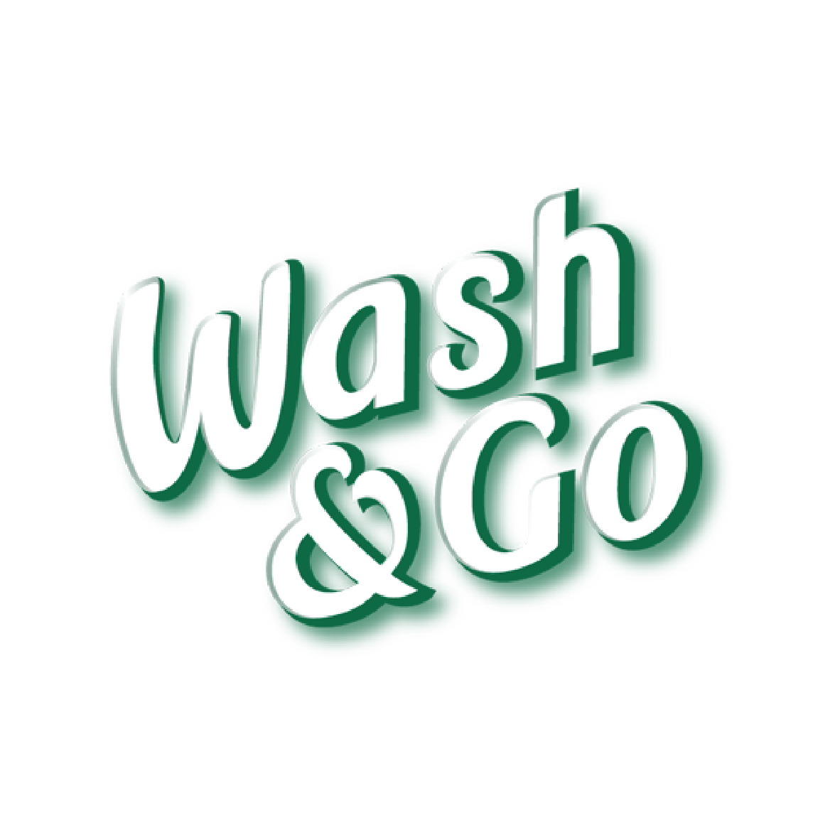 Wash & Go Logo.png