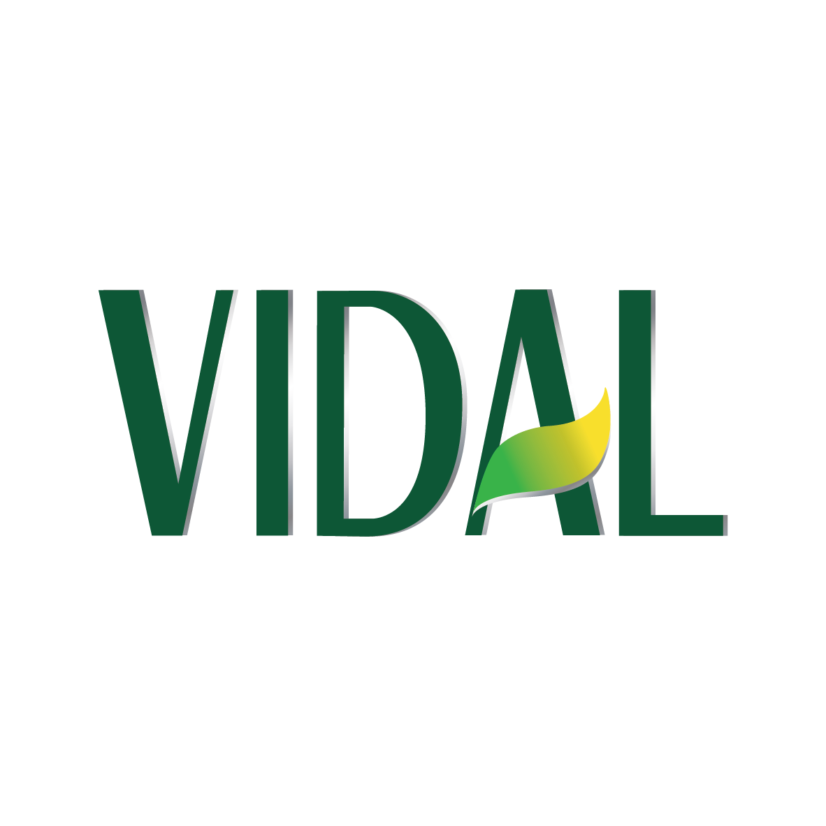 Vidal Logo.png