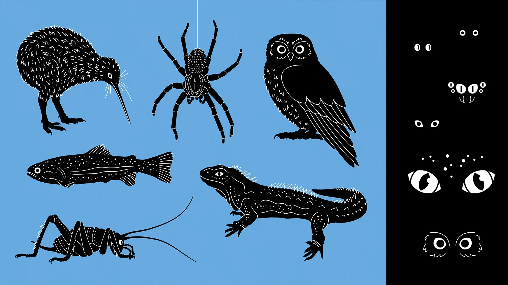 8 rainbow springs.jpg