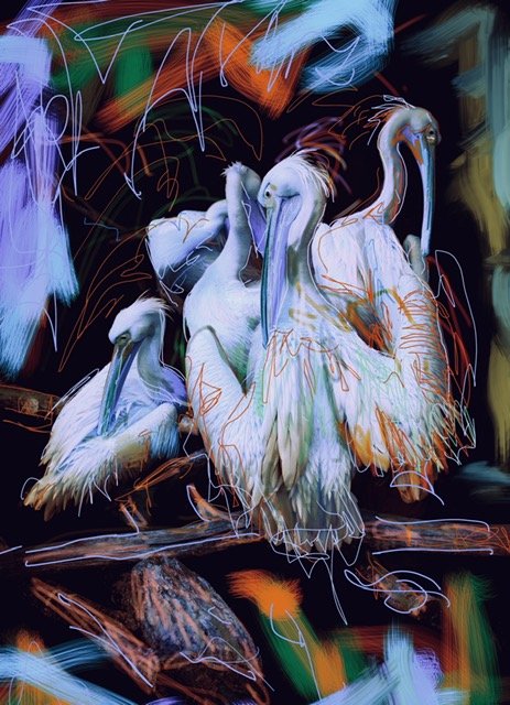 Joanne Huxford | United States