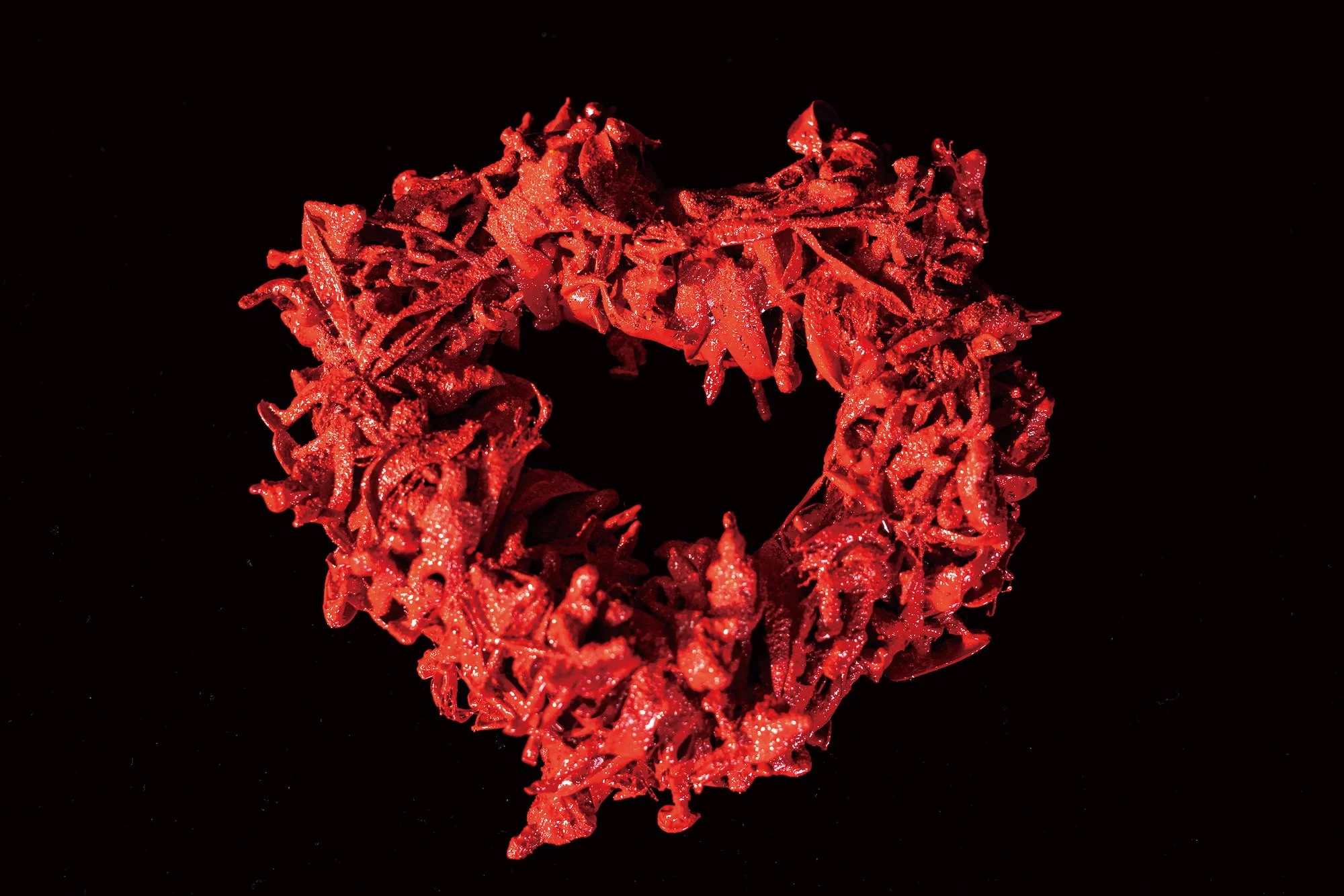 Aomi Kikuchi | Japan