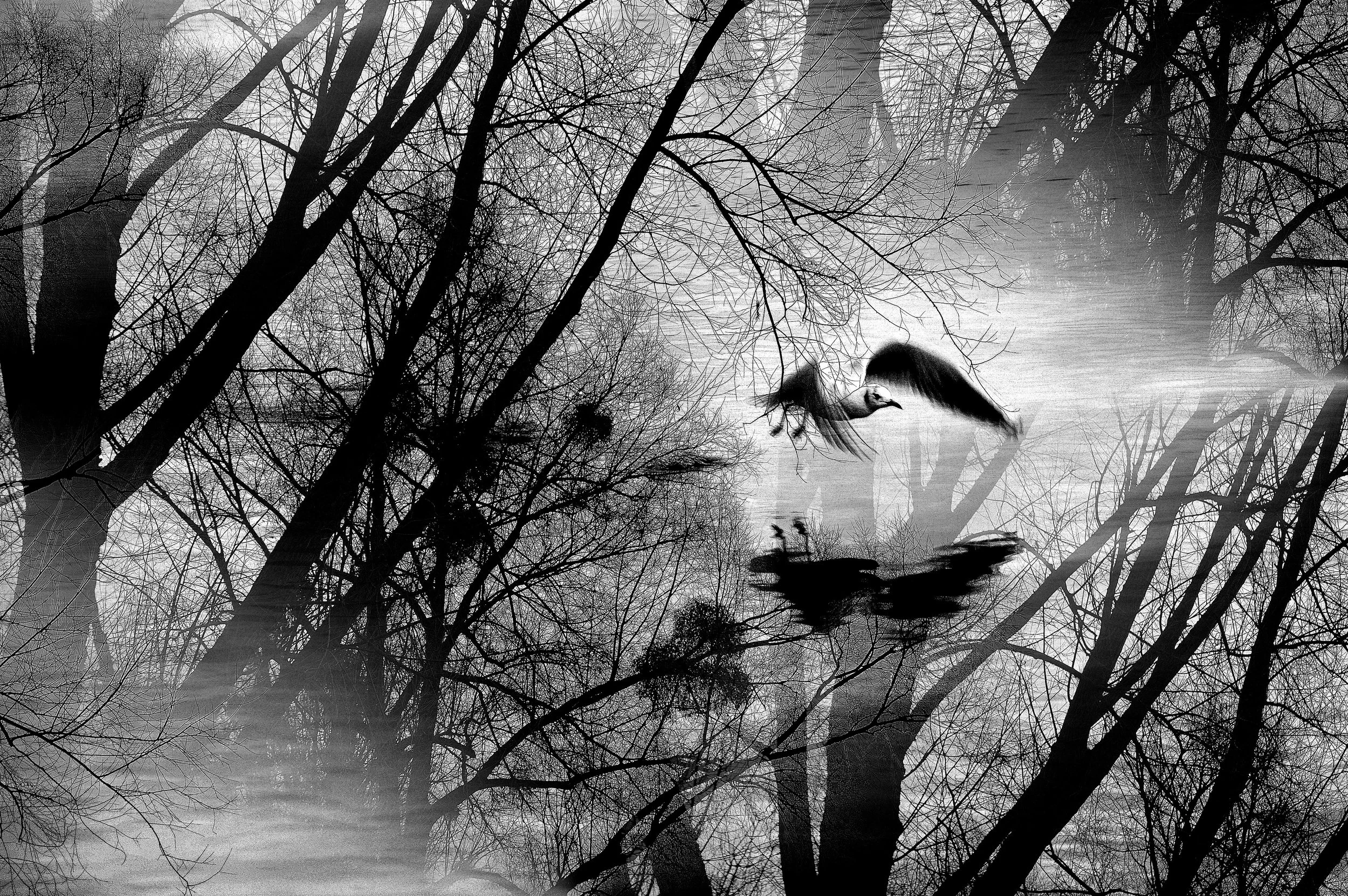 Katrin Loy | Germany