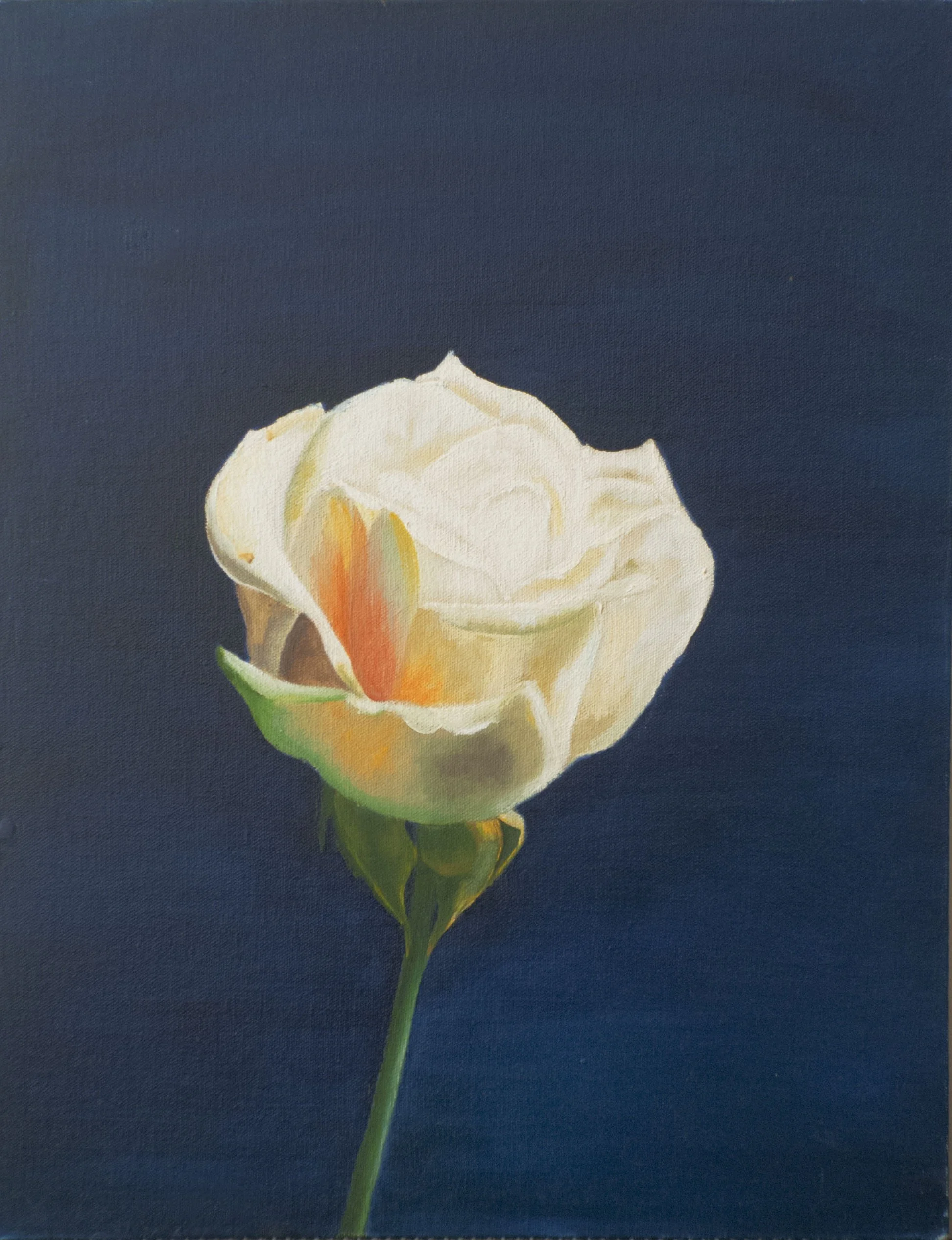 Sidrah Hakim | India