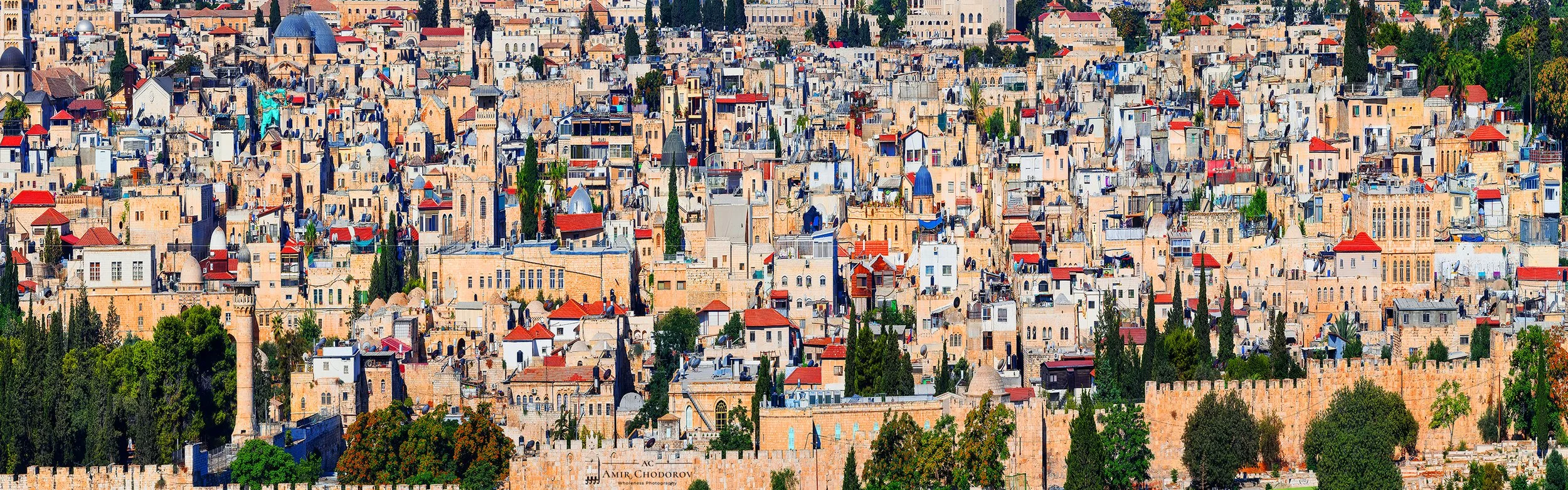 Amir Chodorov | Israel