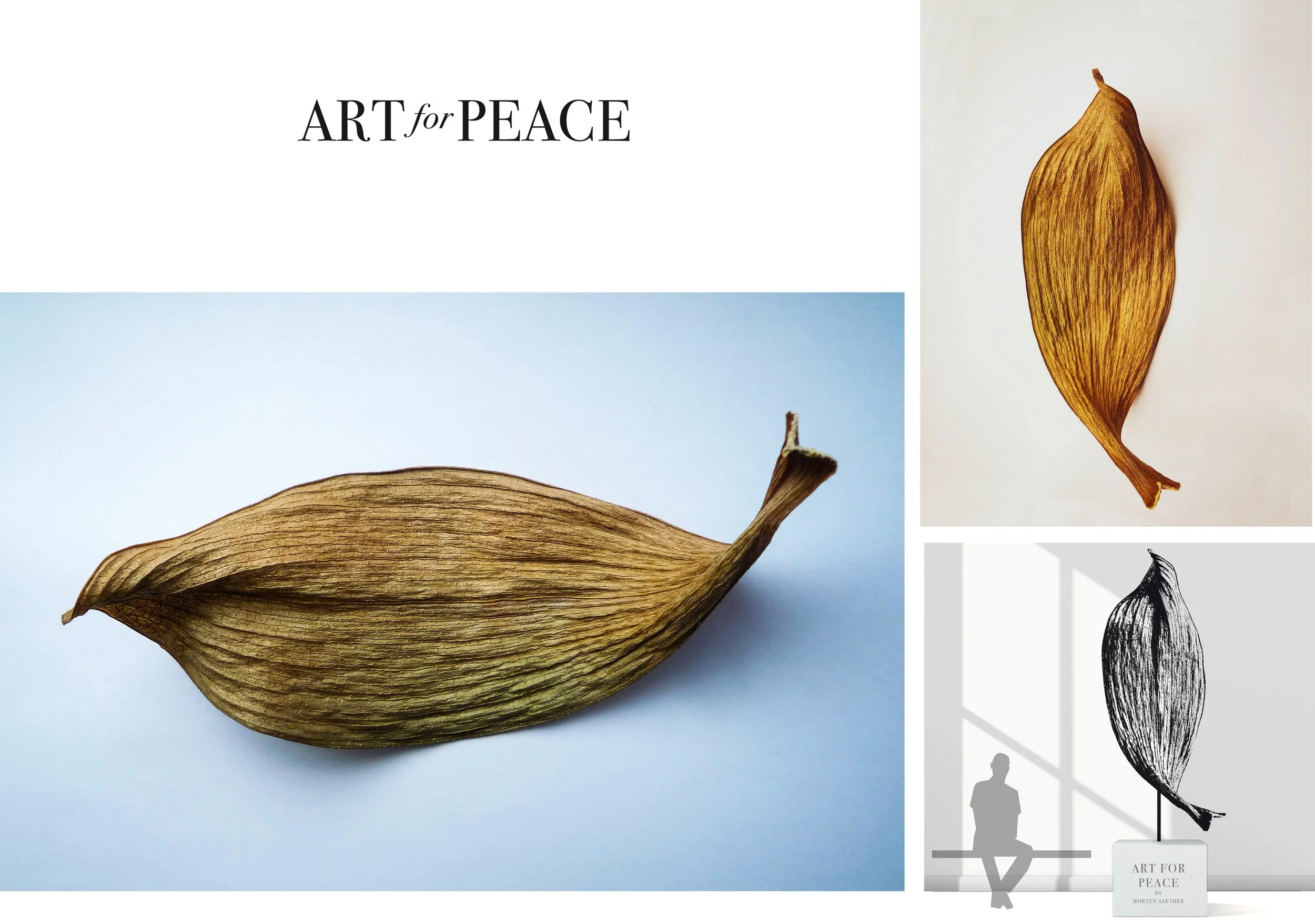 Morten Saether | Norway