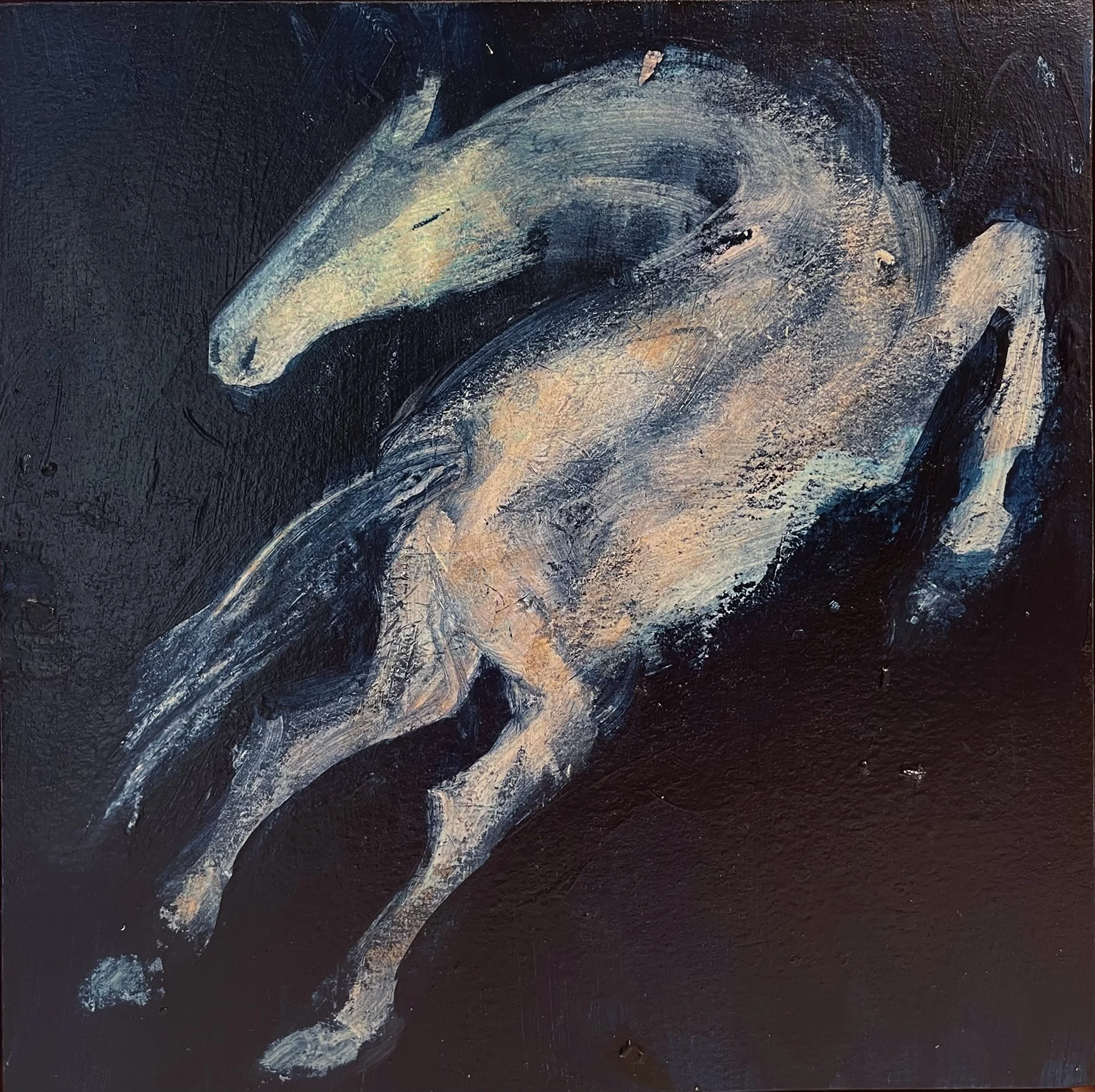 Suzan Lotus  Obermeyer | United States