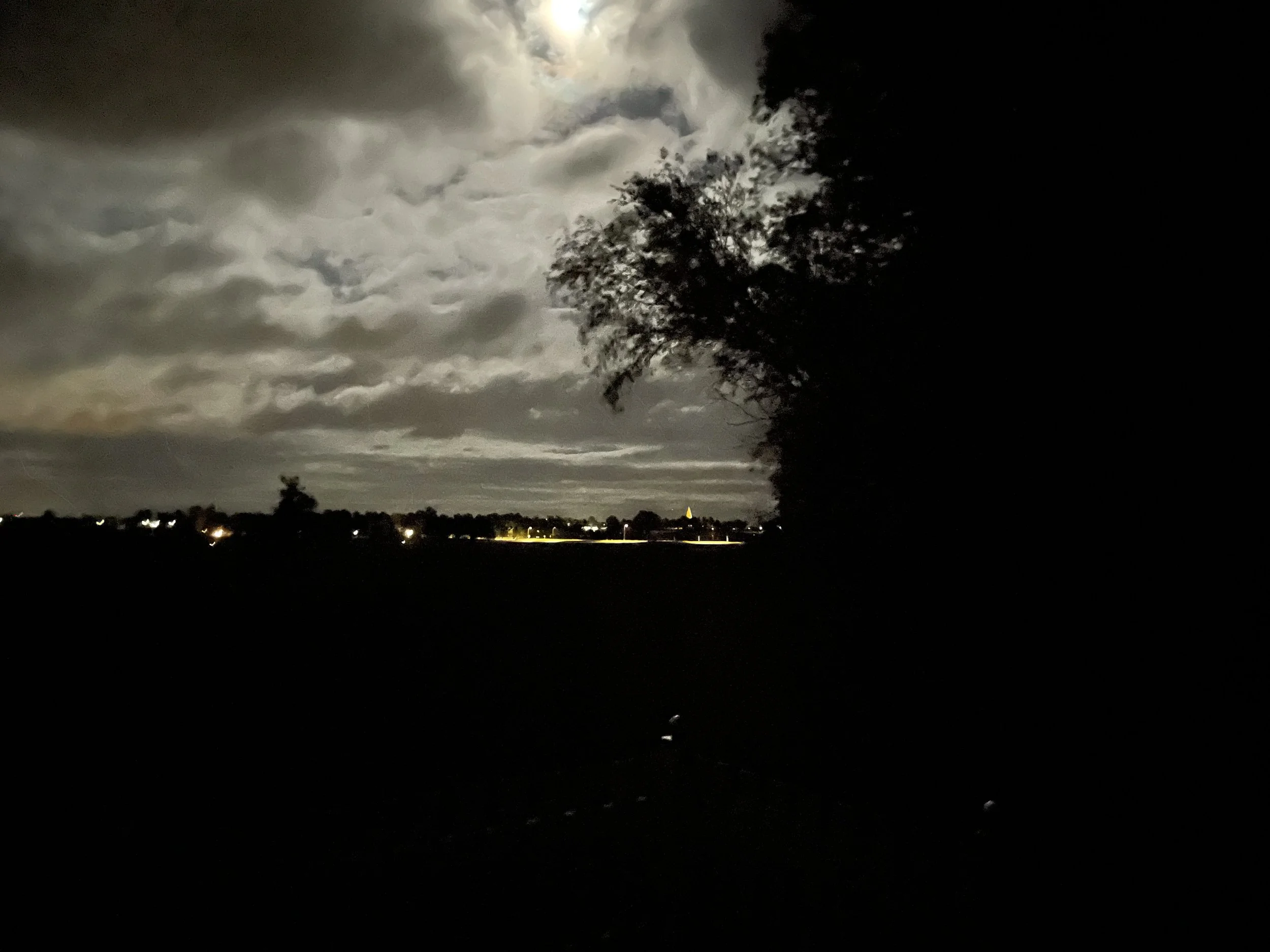 Hans Johansson | Sweden