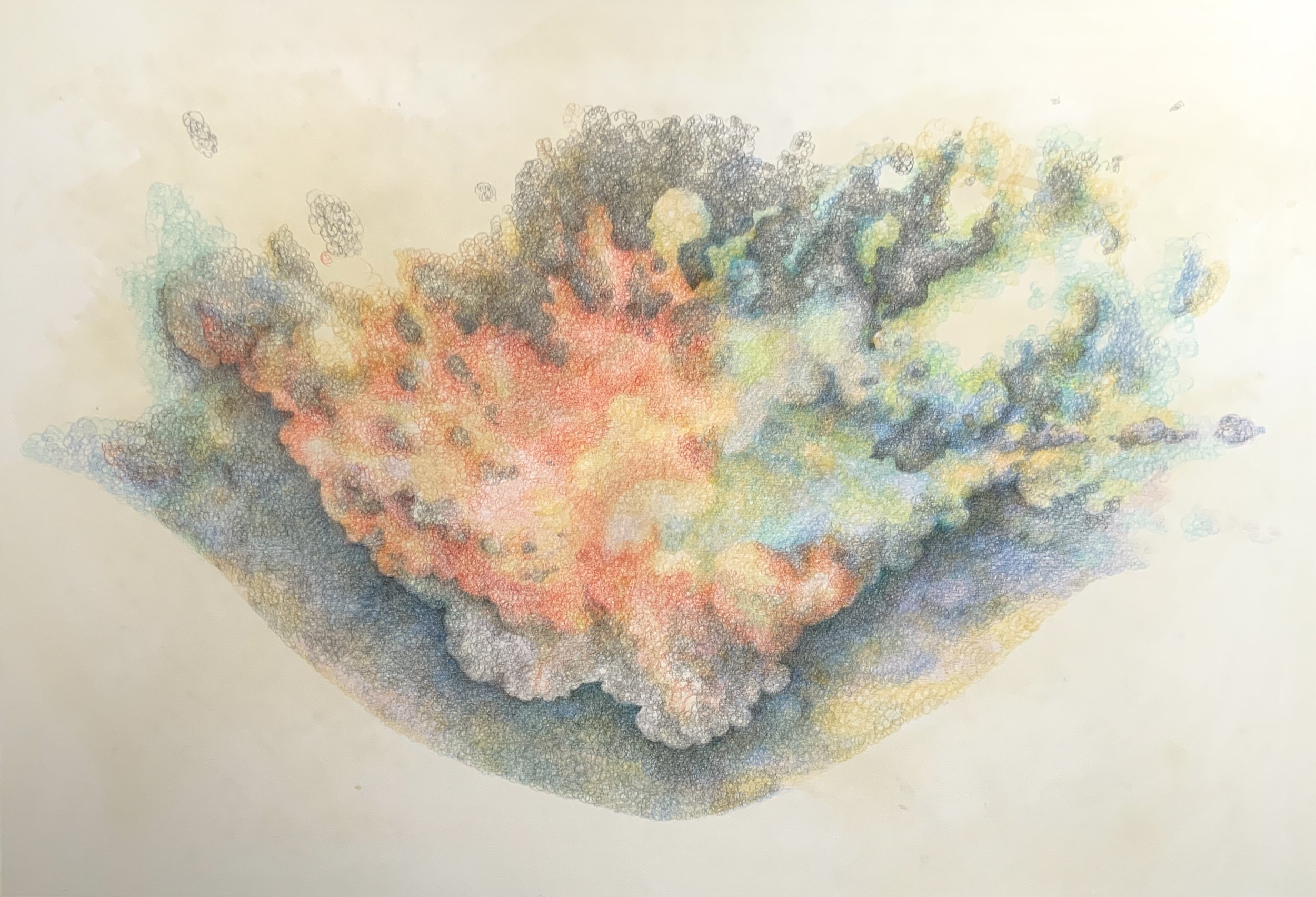 The feeling of the sky, earth and clouds　color pencil on board  w72.8×h51.5cm 2024