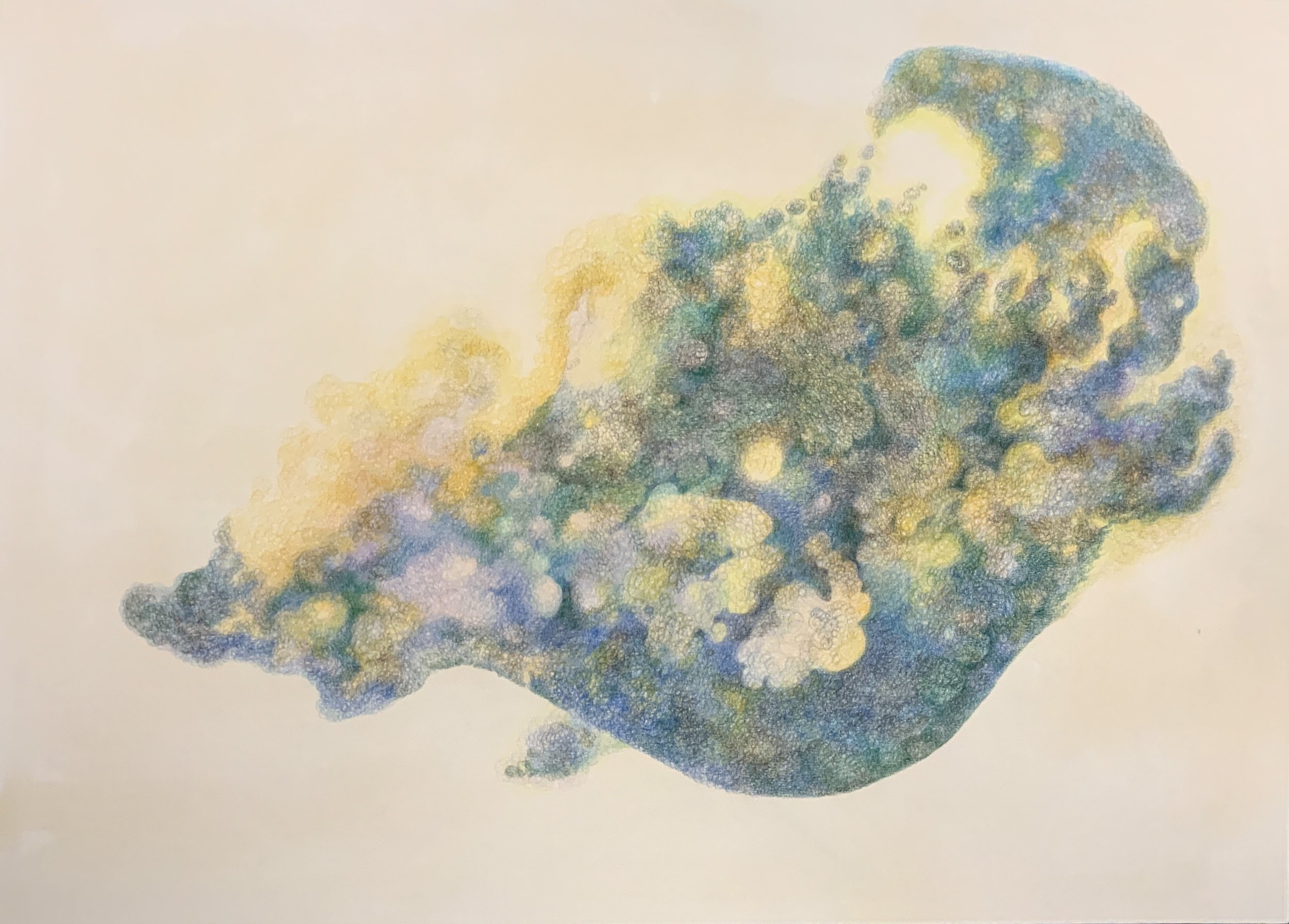 sheep cliff dream color pencil on board w72.8×h51.5cm 2024