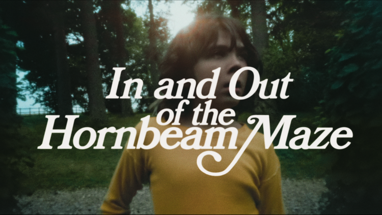 In+and+Out+of+the+Hornbeam+Maze+Still.webp