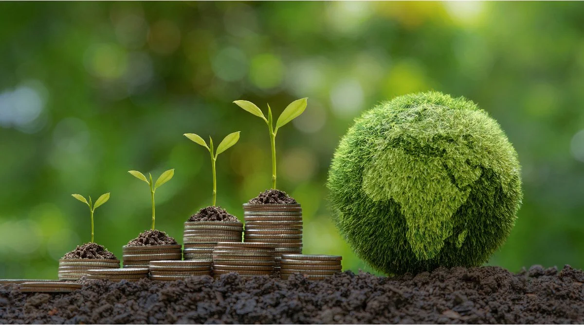 Finanzausgleich: Erneuerbare Energie Österreich fordert klare Ziele für die Klimaperformance von Ländern und Gemeinden