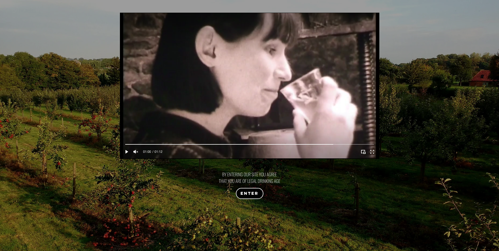 Screenshot 2023-06-01 at 14.46.17.png