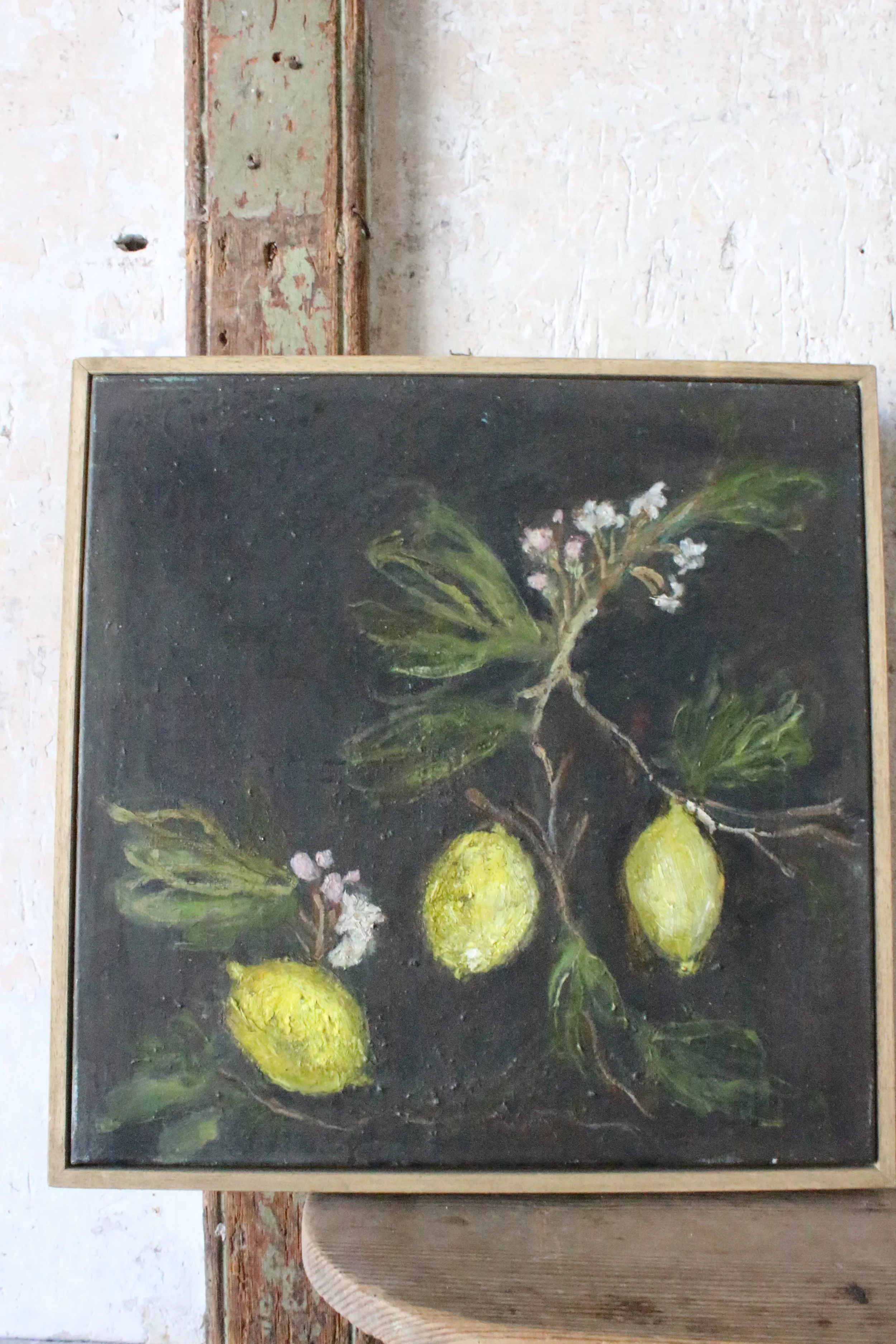 Citronnier