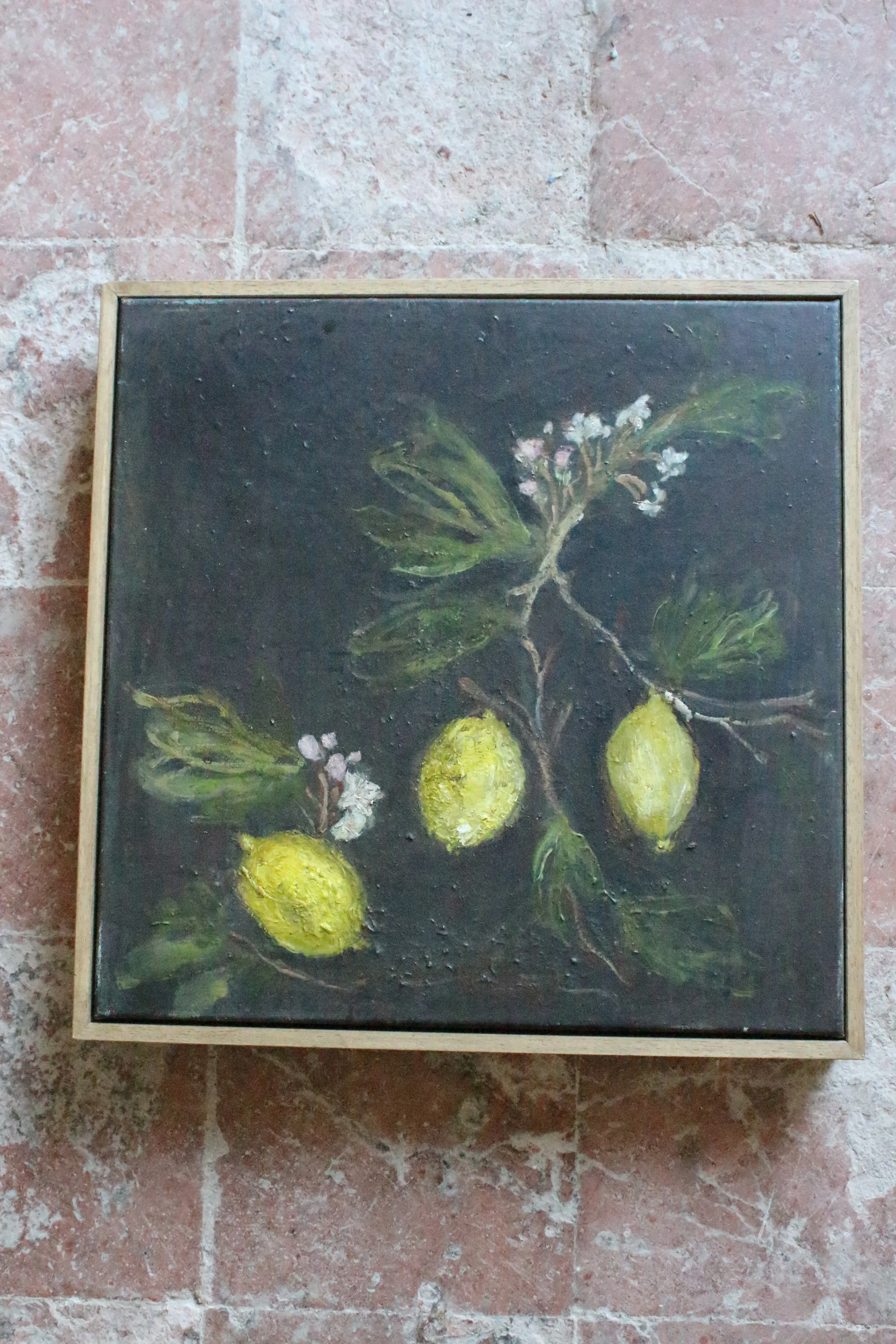 Citronnier