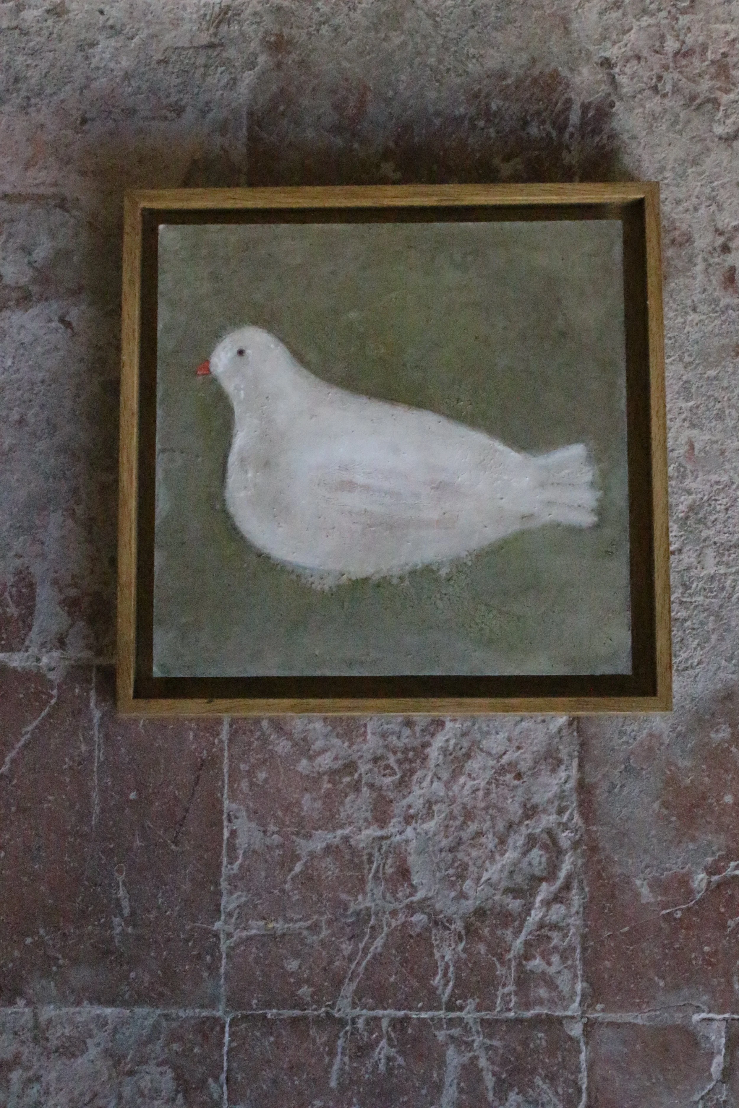 Colombe sur fond vert