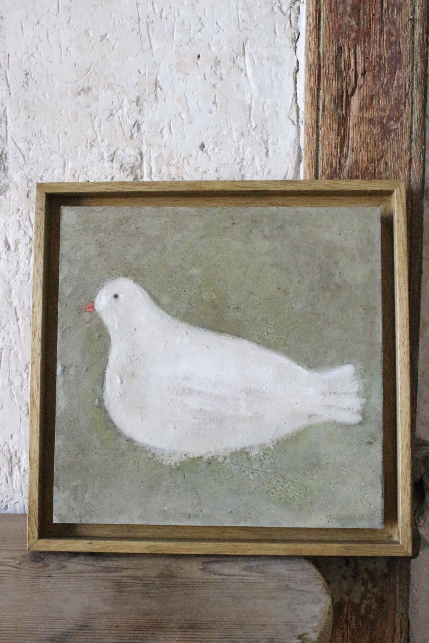 Colombe sur fond vert