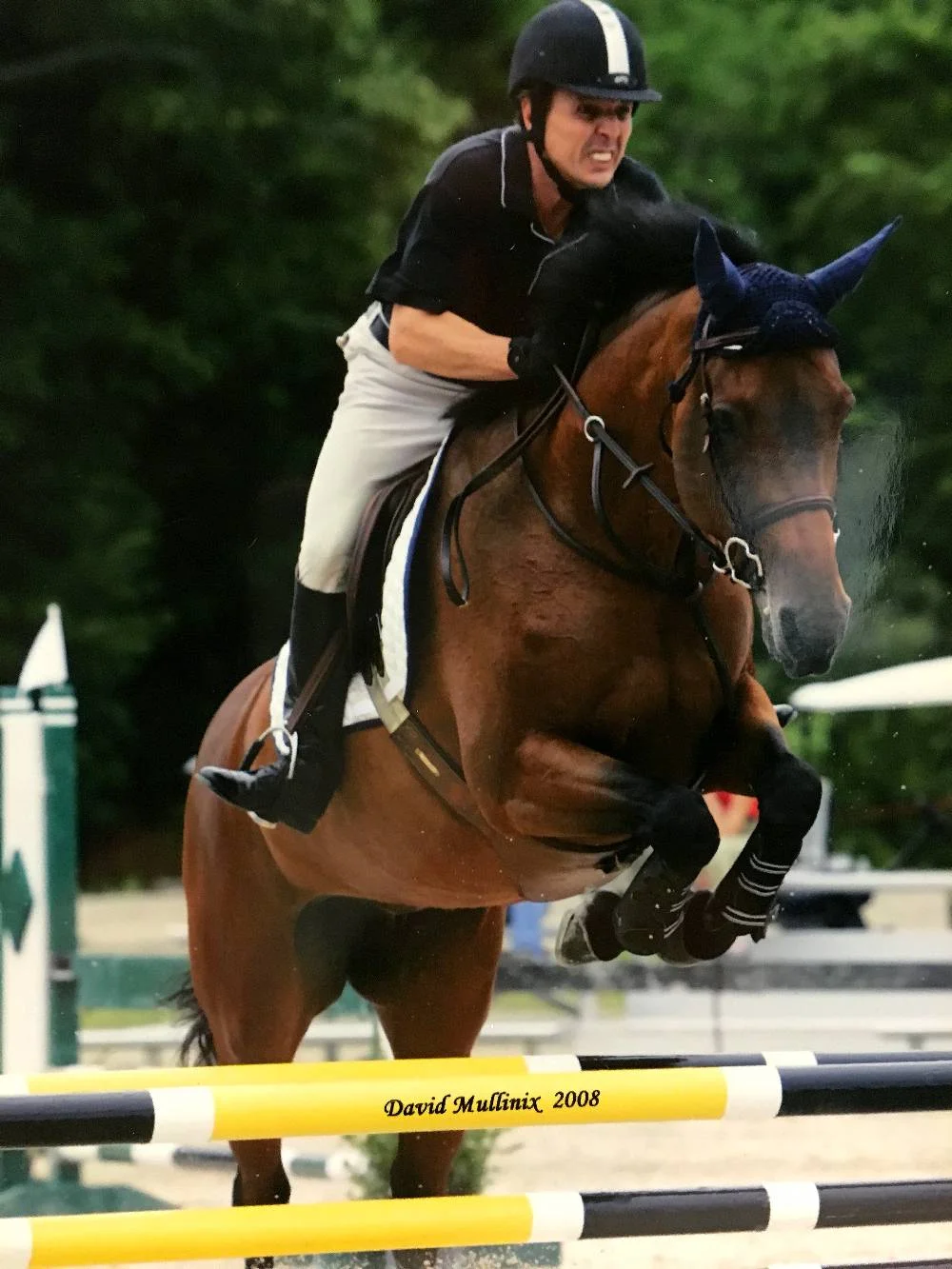 Margaux De Lessay – Imported Selle Francais Mare by Eolien II out of Union De Lessay out of In Chala A