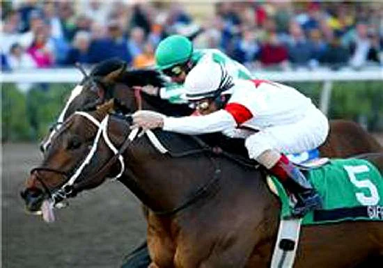 Gaff-Thoroughbred Reference Sire