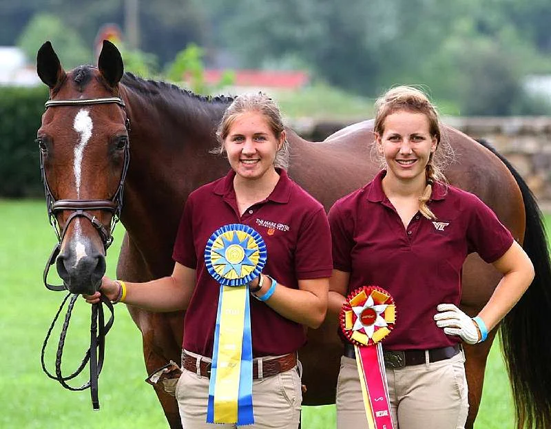 Dom Perignon-Hanoverian Mare by Domingo