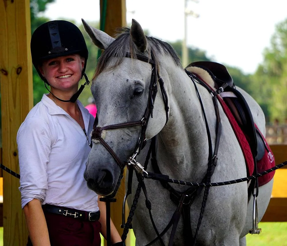 Islandwhirlslast- THOROUGHBRED SPORTHORSE MARE BY ISLAND WHIRL OUT OF GRAY POO PON BY GRUB