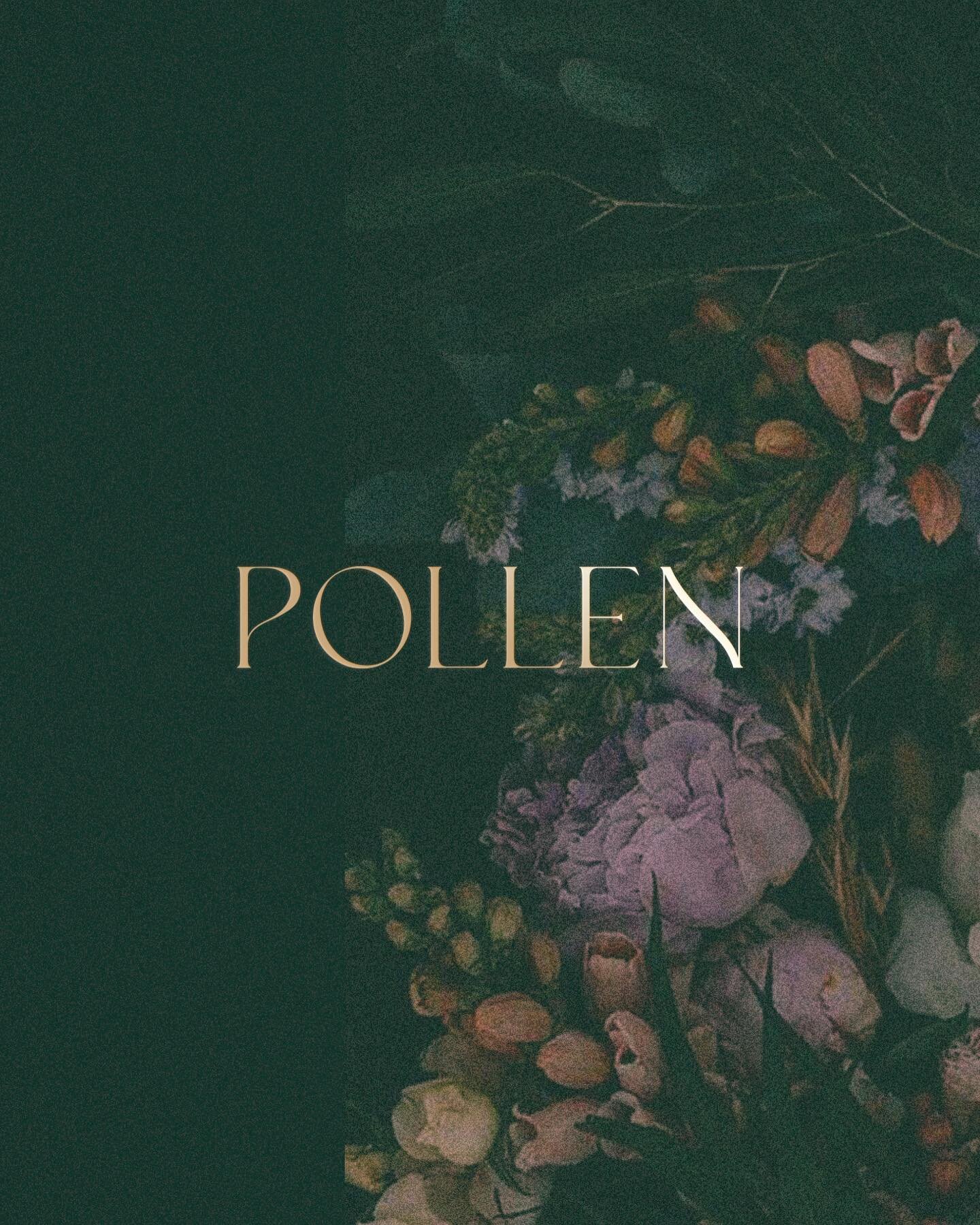 More Pollen branding outtakes 🐝🌸
.
.
.
.
.
.
.
#floristry
#flowershopbranding
#brandingdesign
#designinspiration
#graphicbranding
#logodesign
#brandidentity
#creativebranding
#designmatters
#typographytales
#colortheory
#brandingguru
#graphicgenius