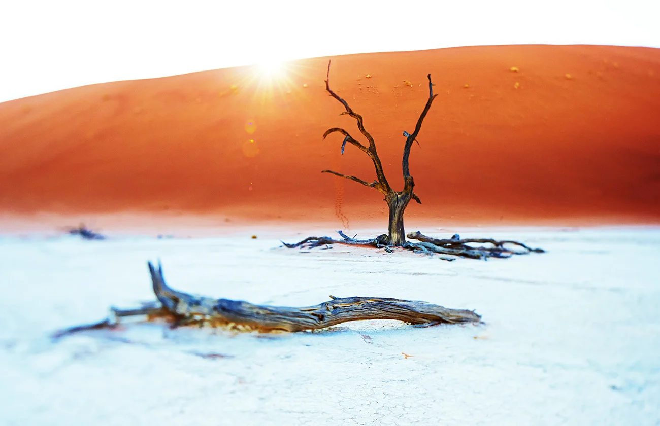Namib PN-C 5.jpg