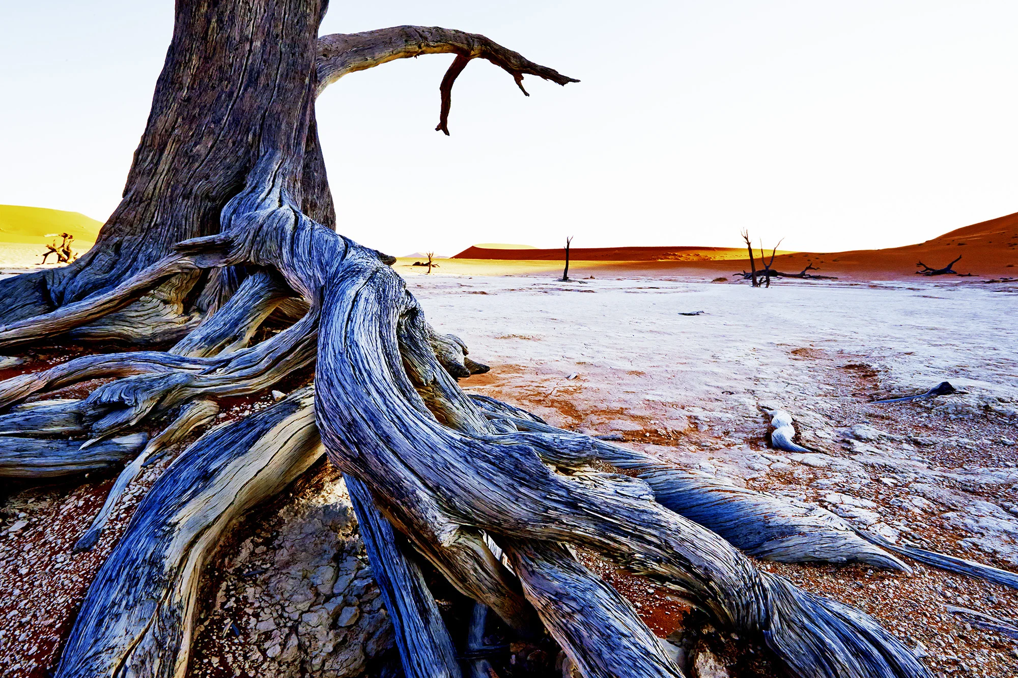 Namib PN-C 4.jpg