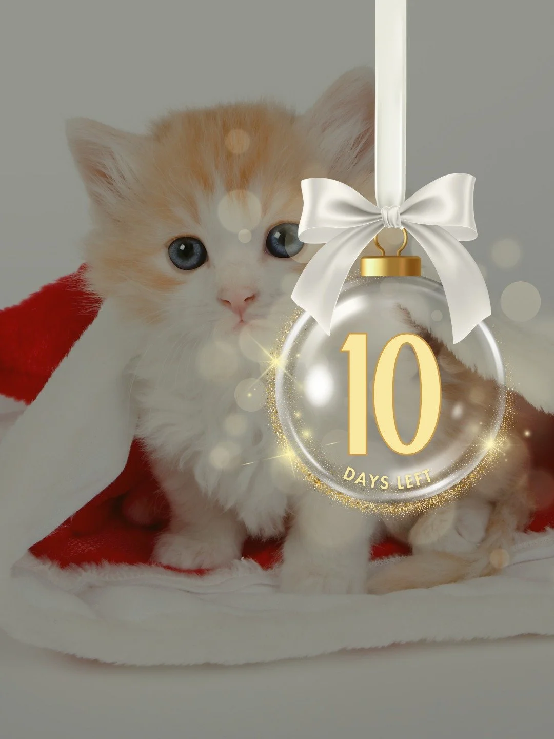 Counting down to our next DineMeet! Just 10 days until we gather for festive fun.

To join the free community:
👉 Fill out our form 🎟 Book your place on Eventbrite- links in the Bio
#dinemeet
#dinemeetsuffolk
#connectingonetableatatime
#reasontogoou