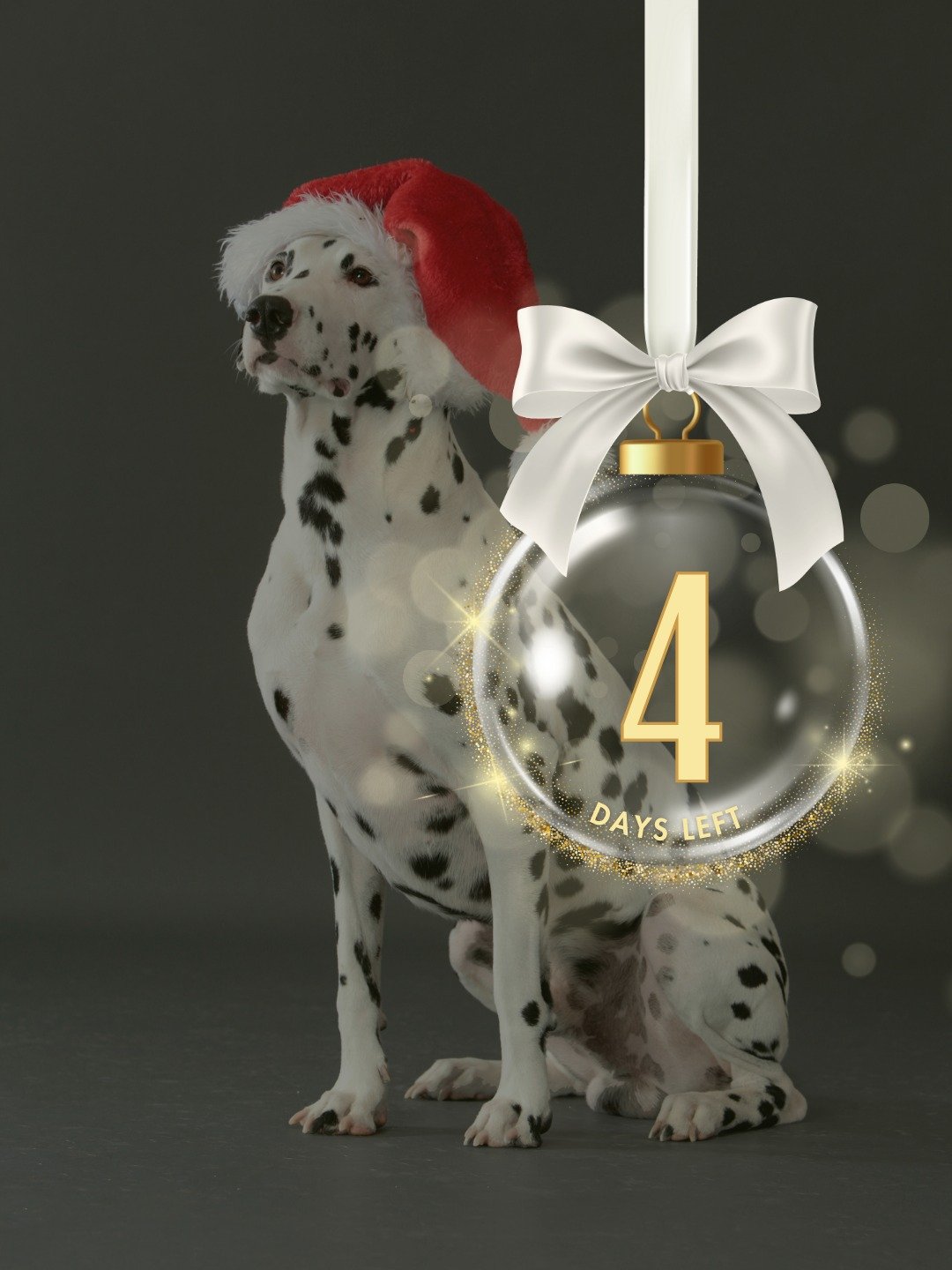 Four days to go! The countdown is on for a night of festive flavours and new friendships.
To join the free community:
👉 Fill out our form 🎟 Book your place on Eventbrite- links in the Bio
#dinemeet
#dinemeetsuffolk
#connectingonetableatatime
#reaso