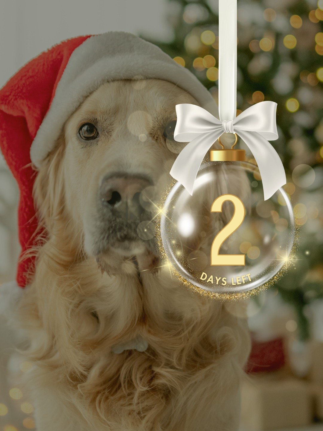 Two days to go! The holiday table is almost set, and if not this month, we&rsquo;ll see you in the new year.
To join the free community:
👉 Fill out our form 🎟 Book your place on Eventbrite- links in the Bio
#dinemeet
#dinemeetsuffolk
#connectingone