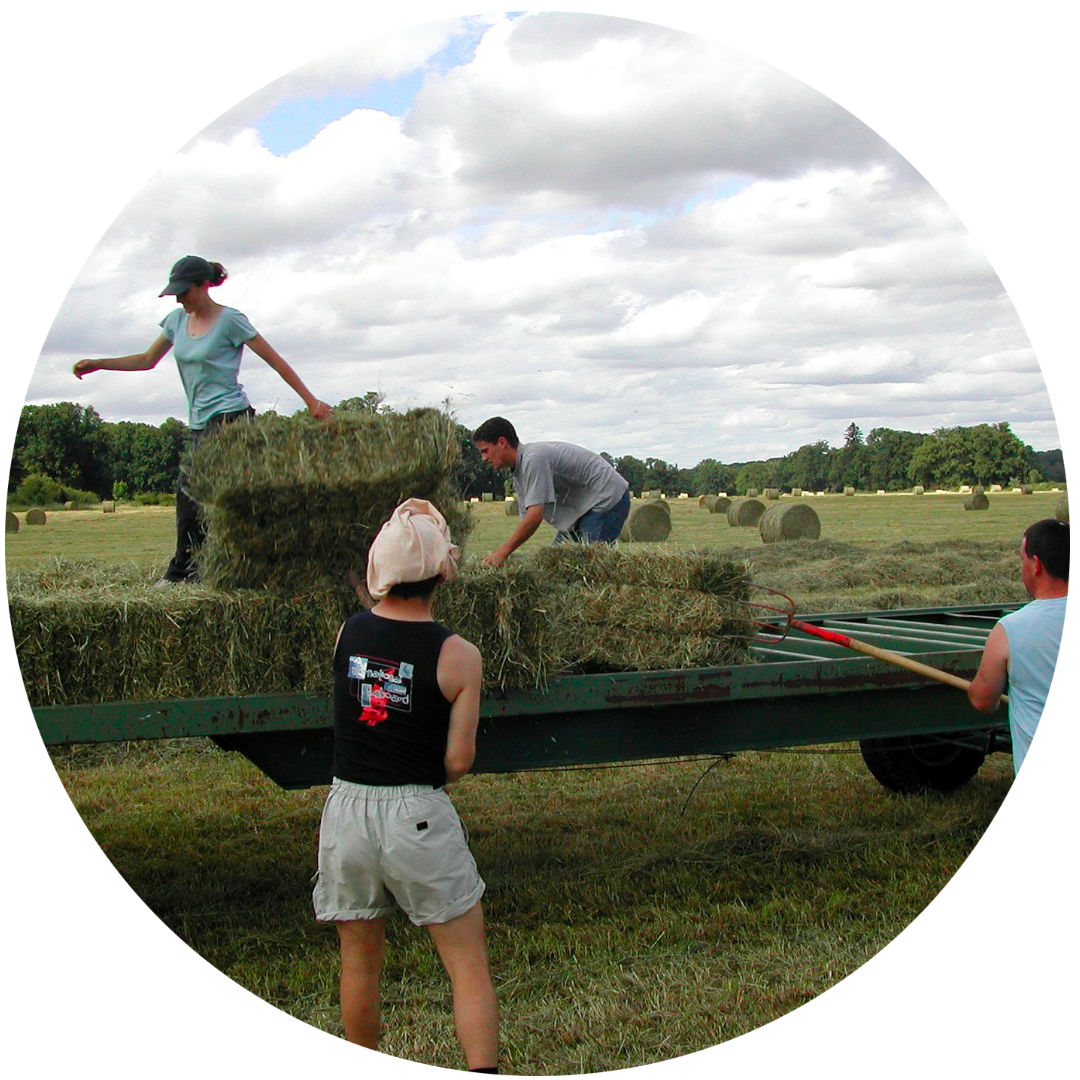farm-crew-circle.png
