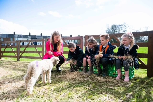 Clan Trust supports Norfolk Learn about Livestock project