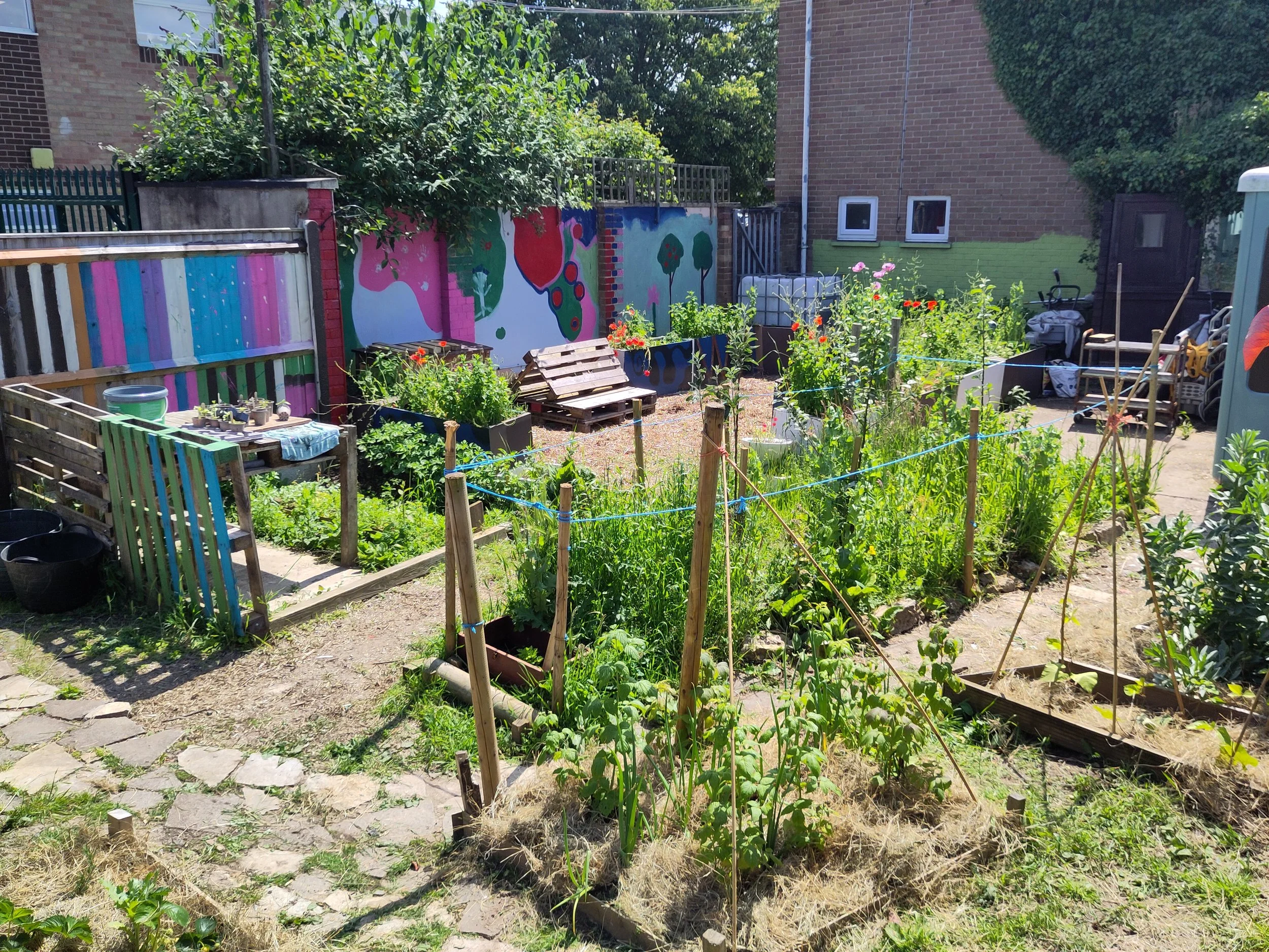 Clan Trust helps empower Norfolk students through school allotments